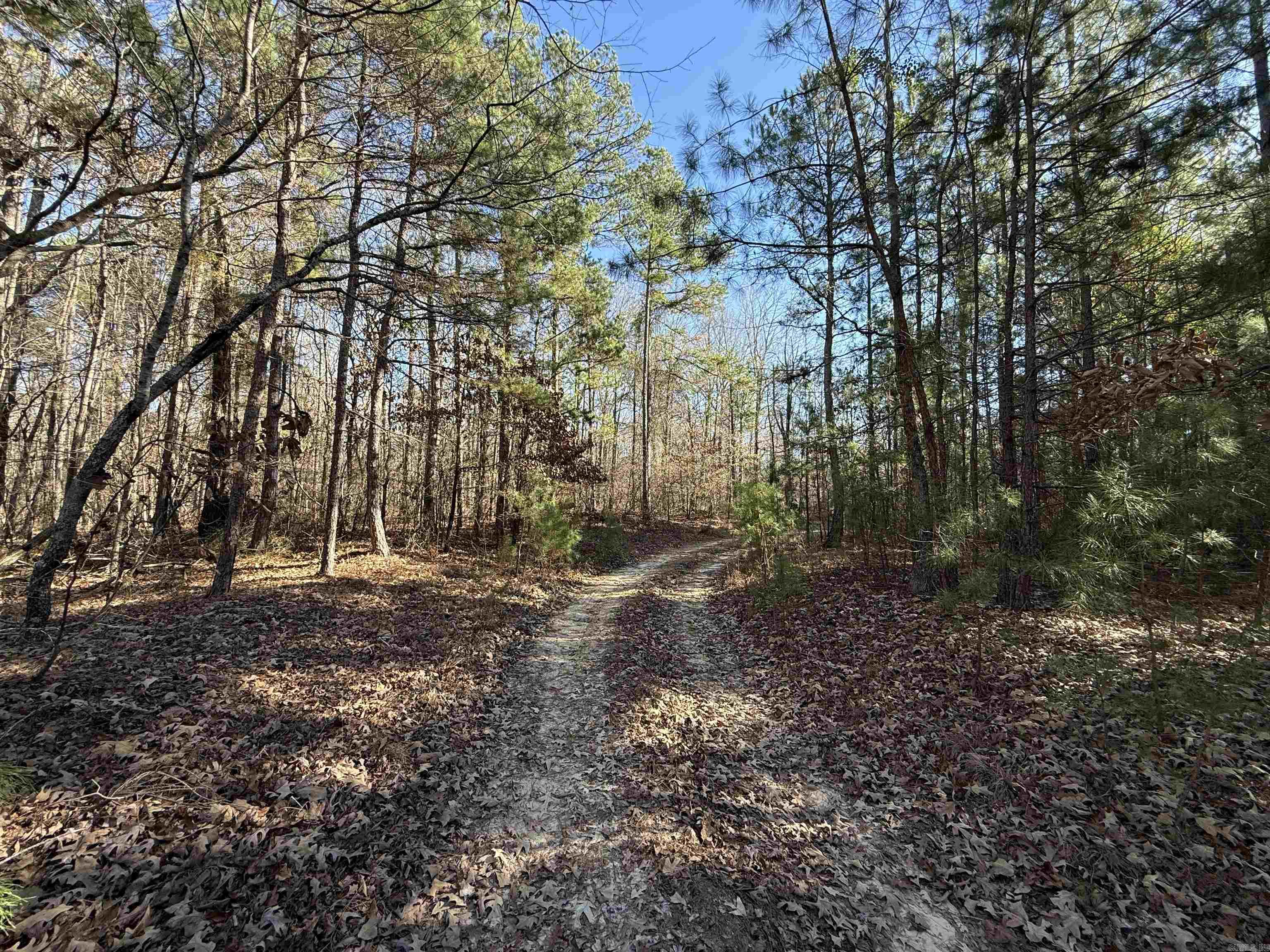 382 Hempstead 349  Nashville, AR