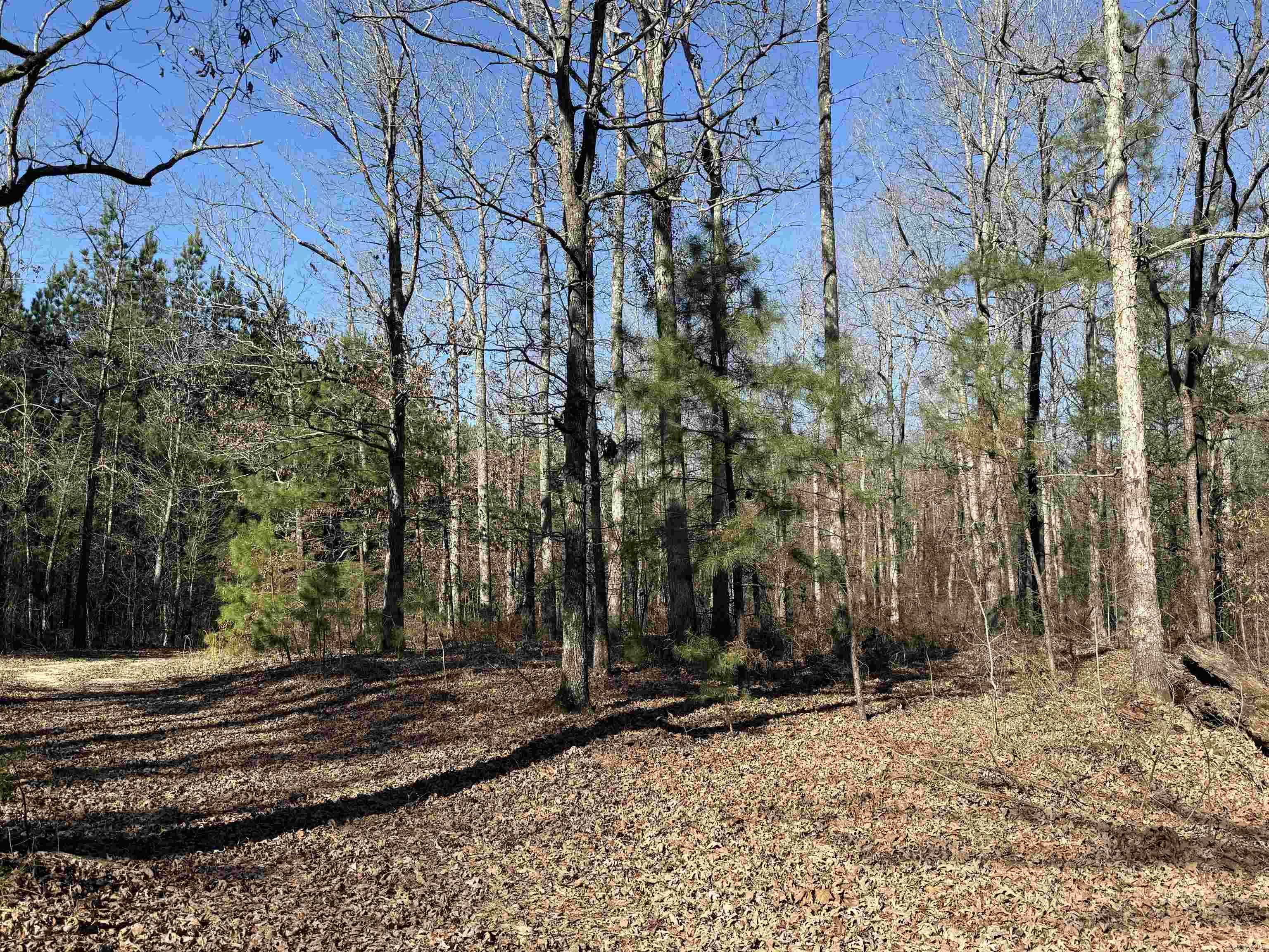 382 Hempstead 349  Nashville, AR