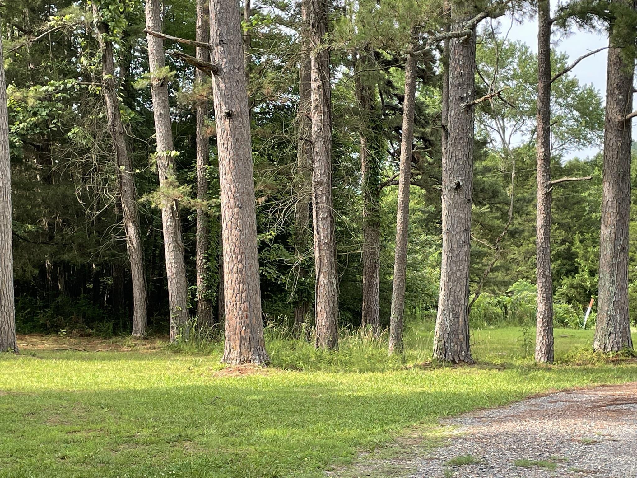 5918 HWY 8 EAST  Mena, AR