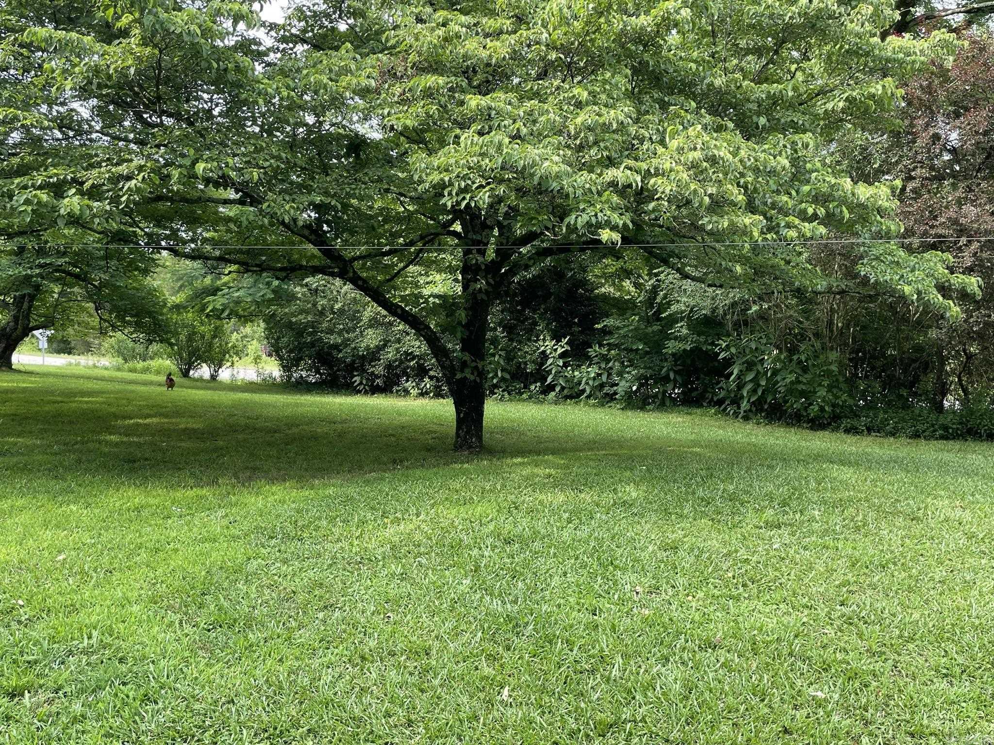 5918 HWY 8 EAST  Mena, AR