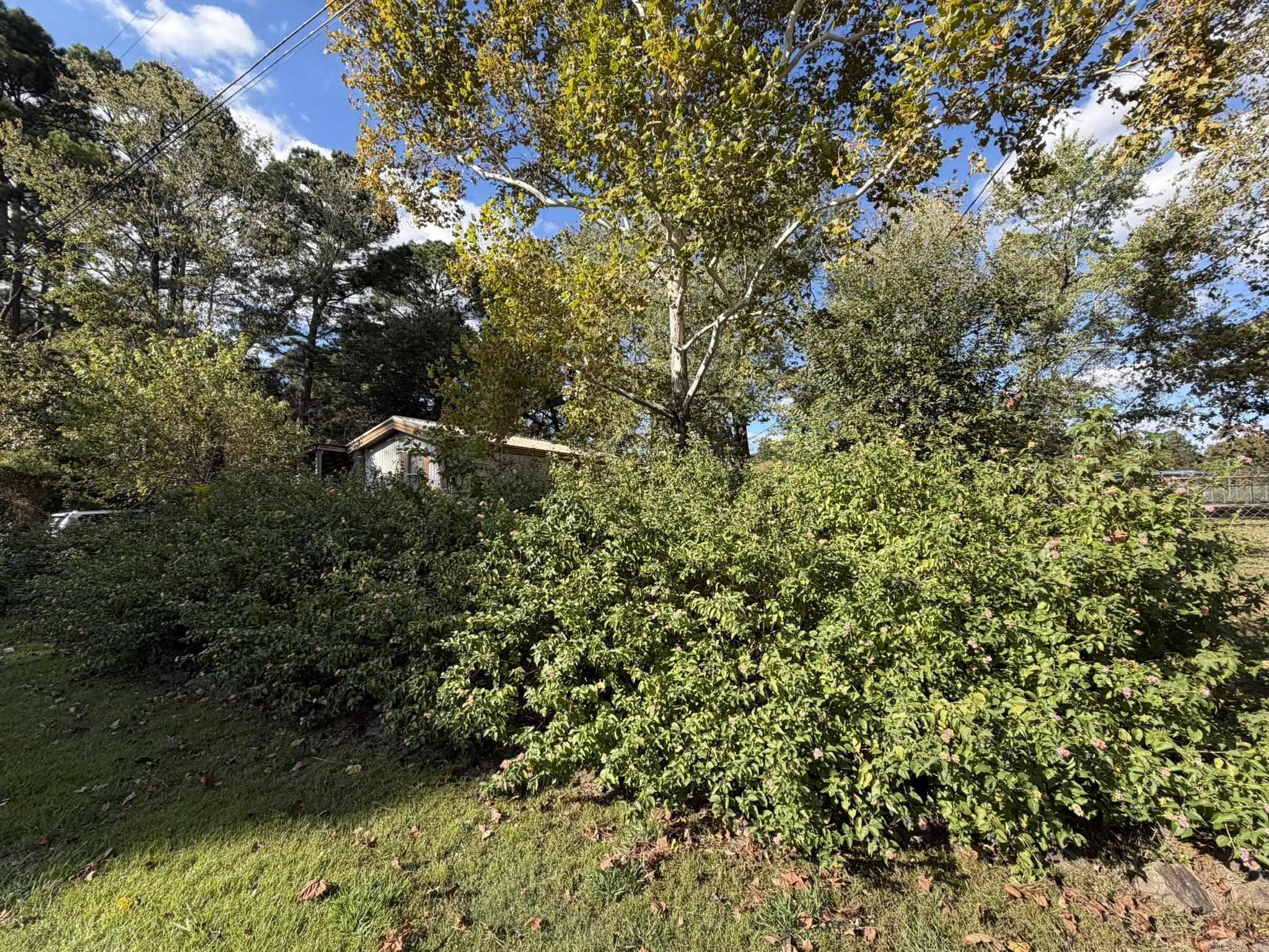 410 N Wilks  McRae, AR