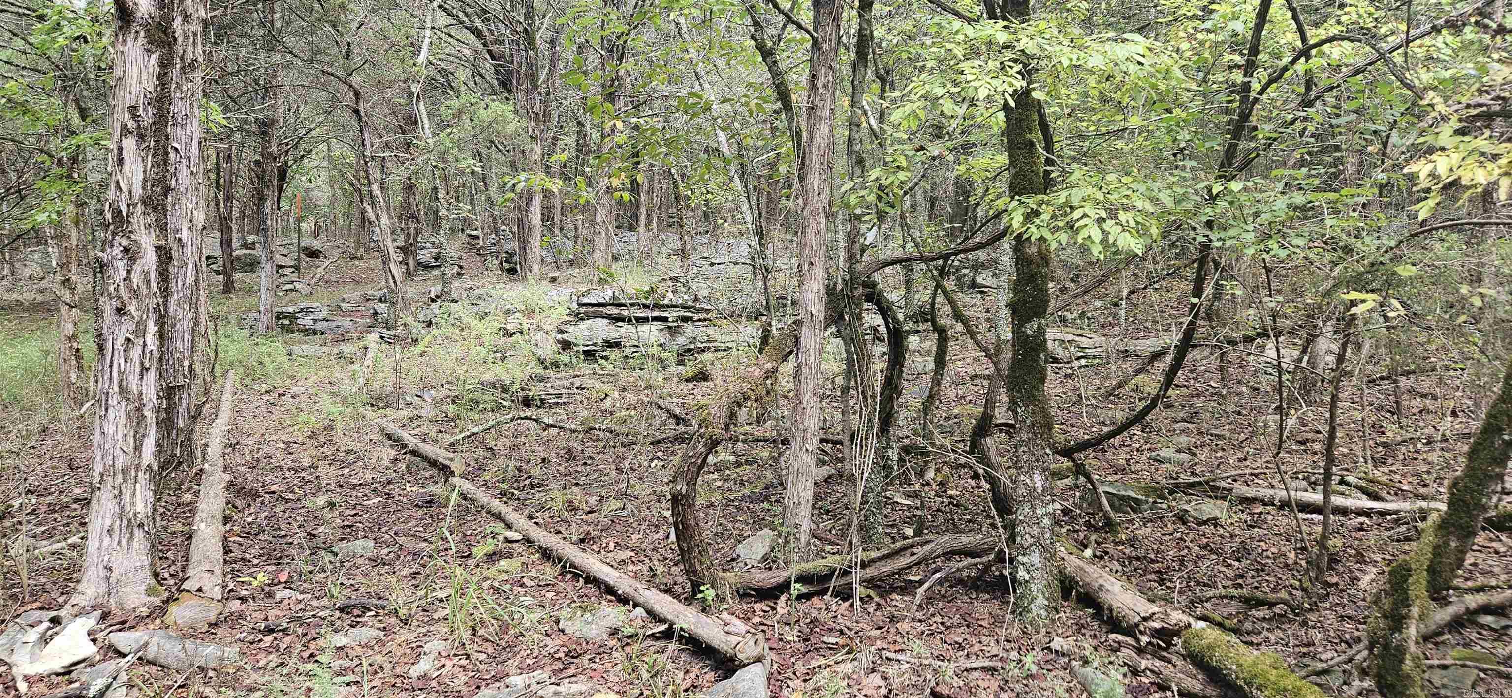 001-07553-000 CR 638  Mountain Home, AR