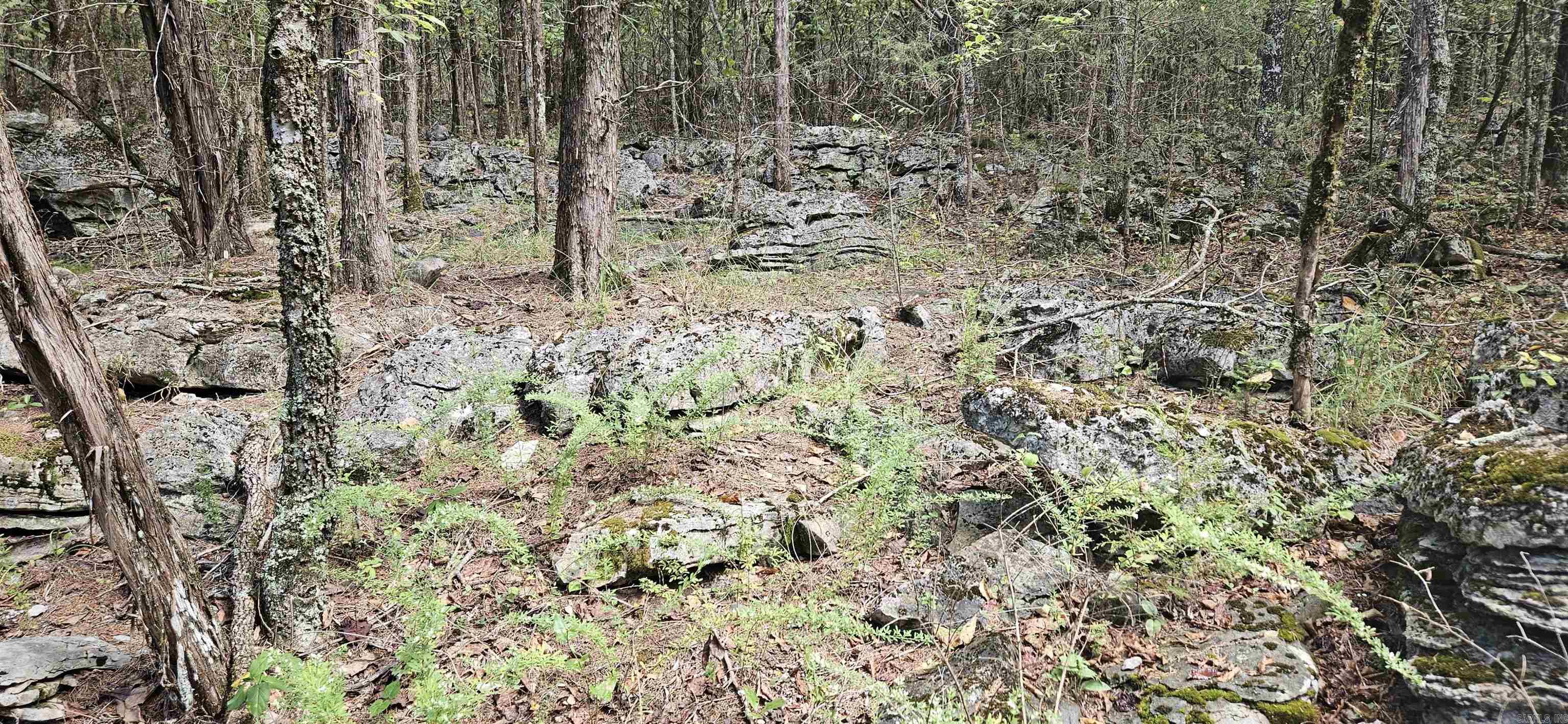 001-07553-000 CR 638  Mountain Home, AR