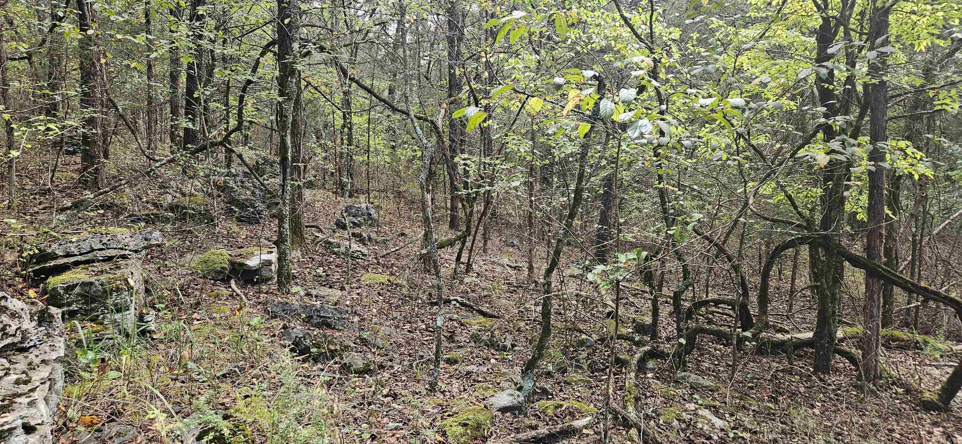 001-07553-000 CR 638  Mountain Home, AR