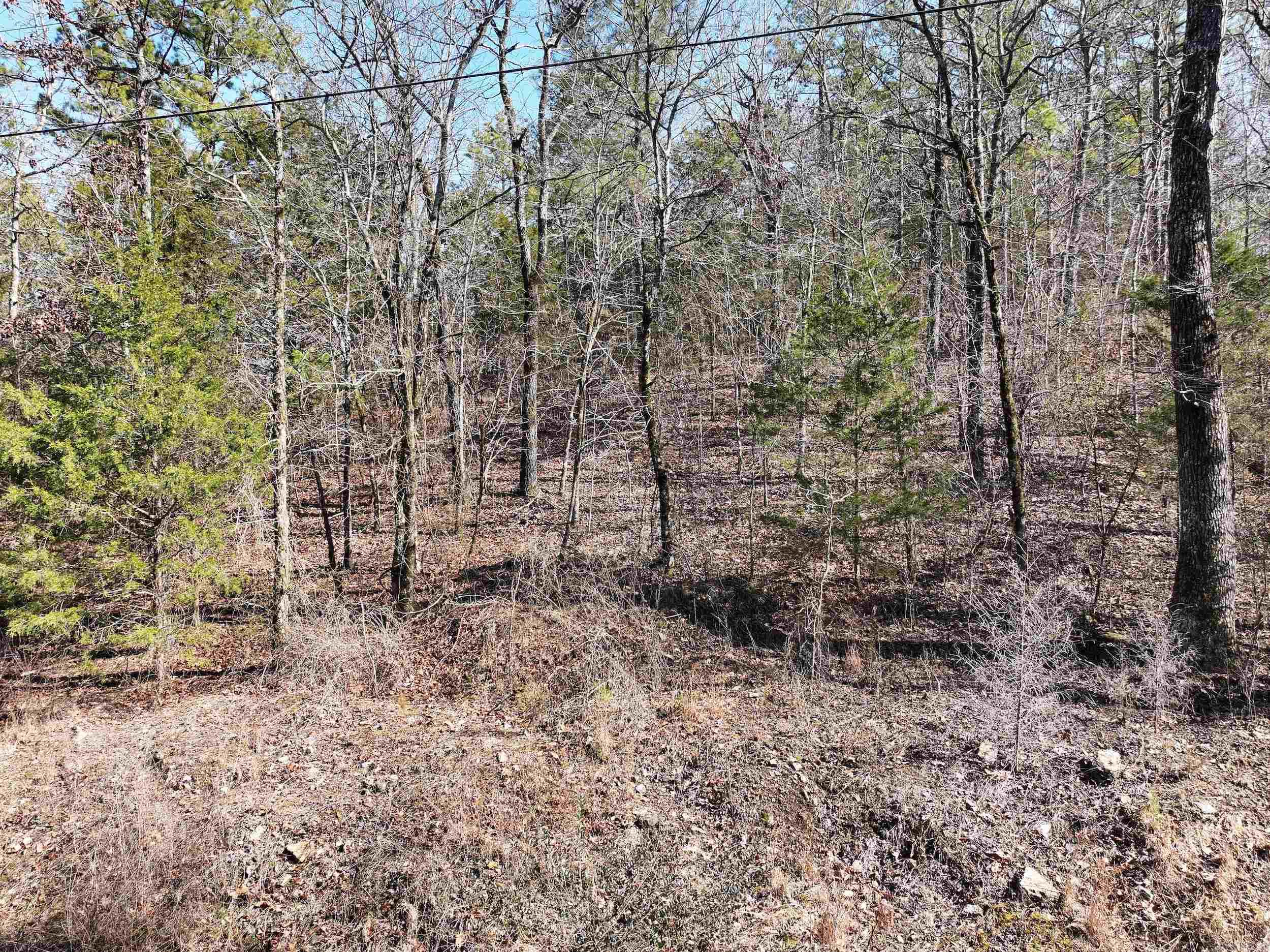 000 CAVANAUGH  Royal, AR