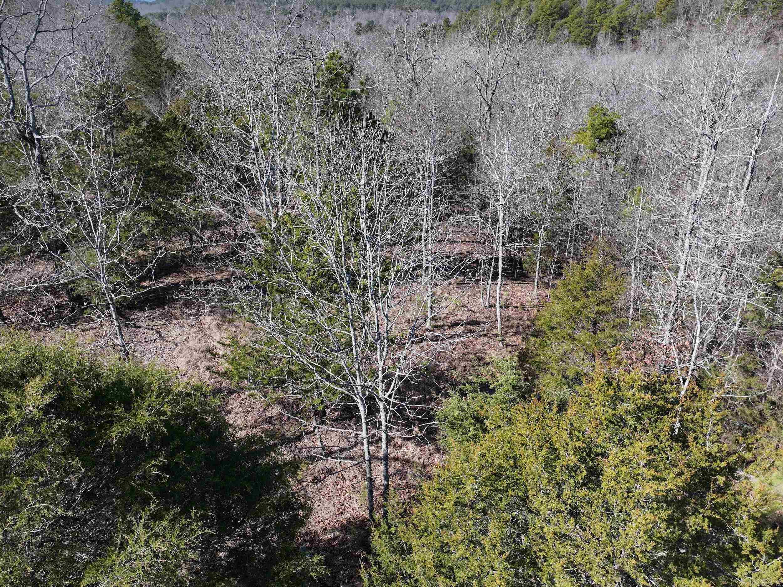 000 CAVANAUGH  Royal, AR