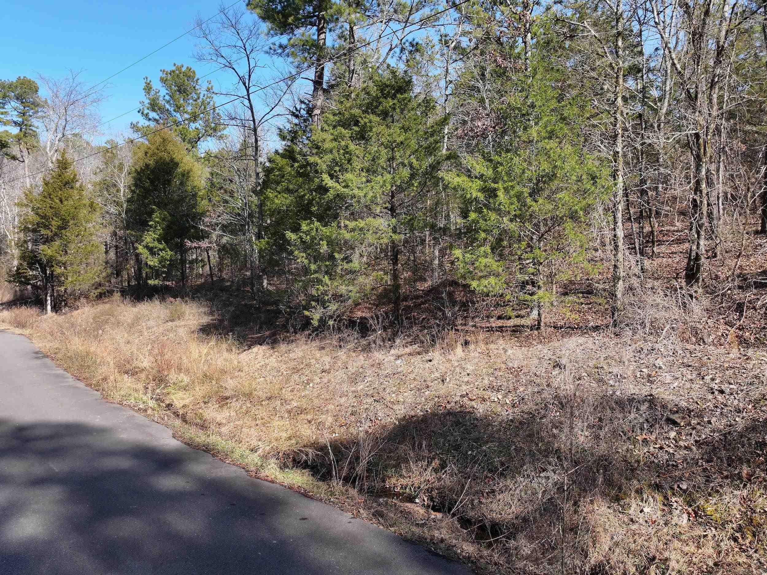 000 CAVANAUGH  Royal, AR