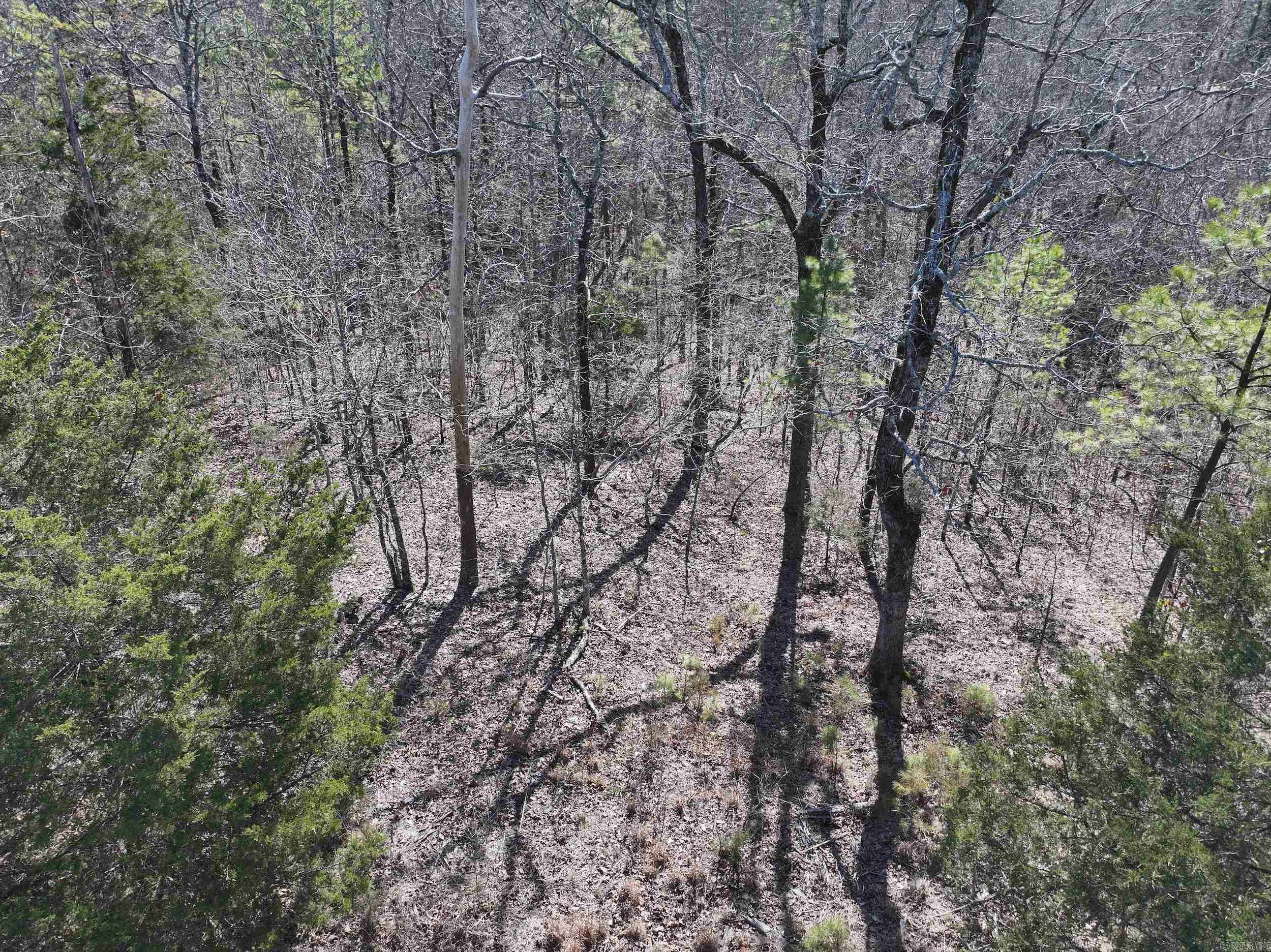 000 CAVANAUGH  Royal, AR