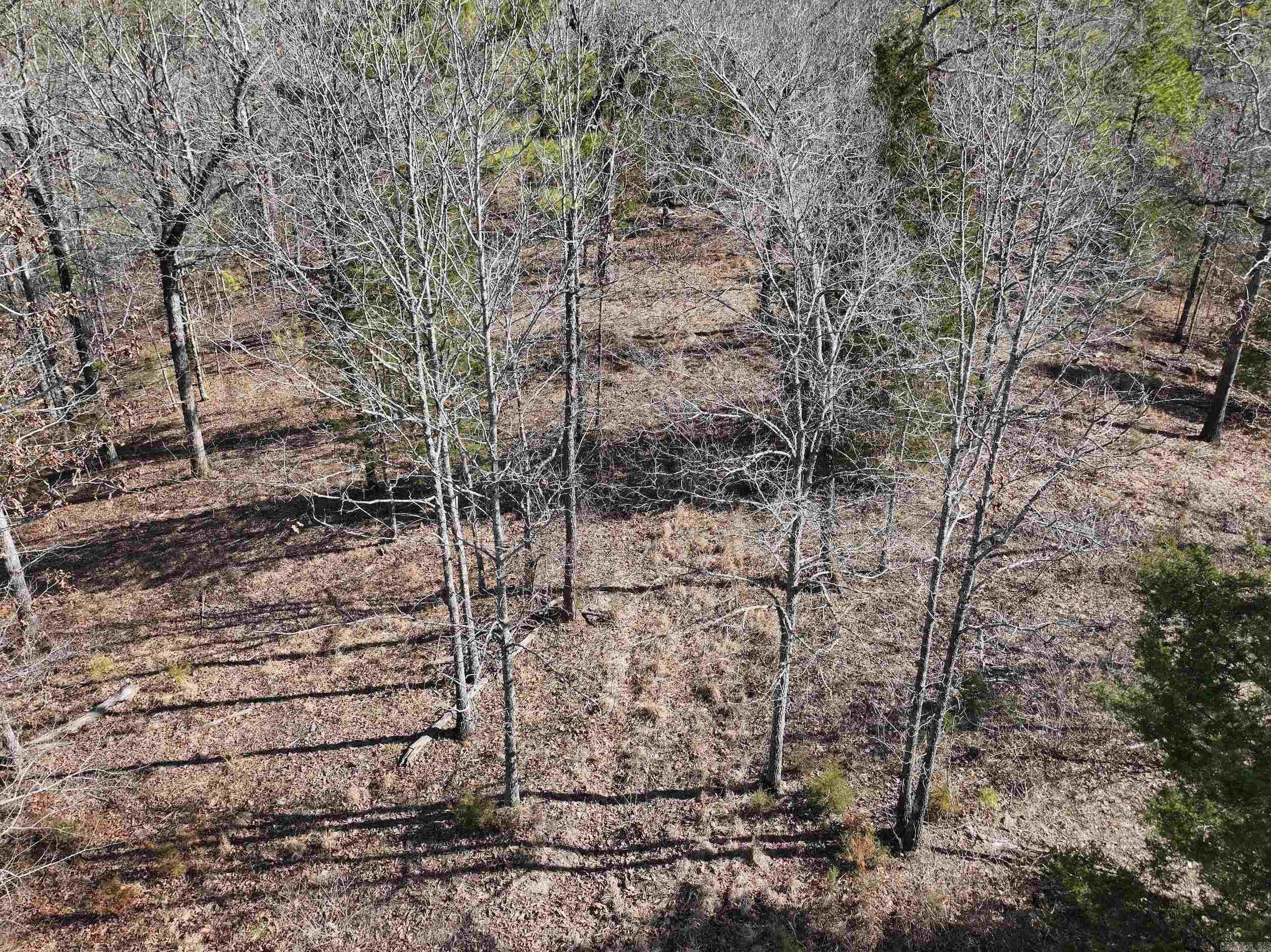 000 CAVANAUGH  Royal, AR