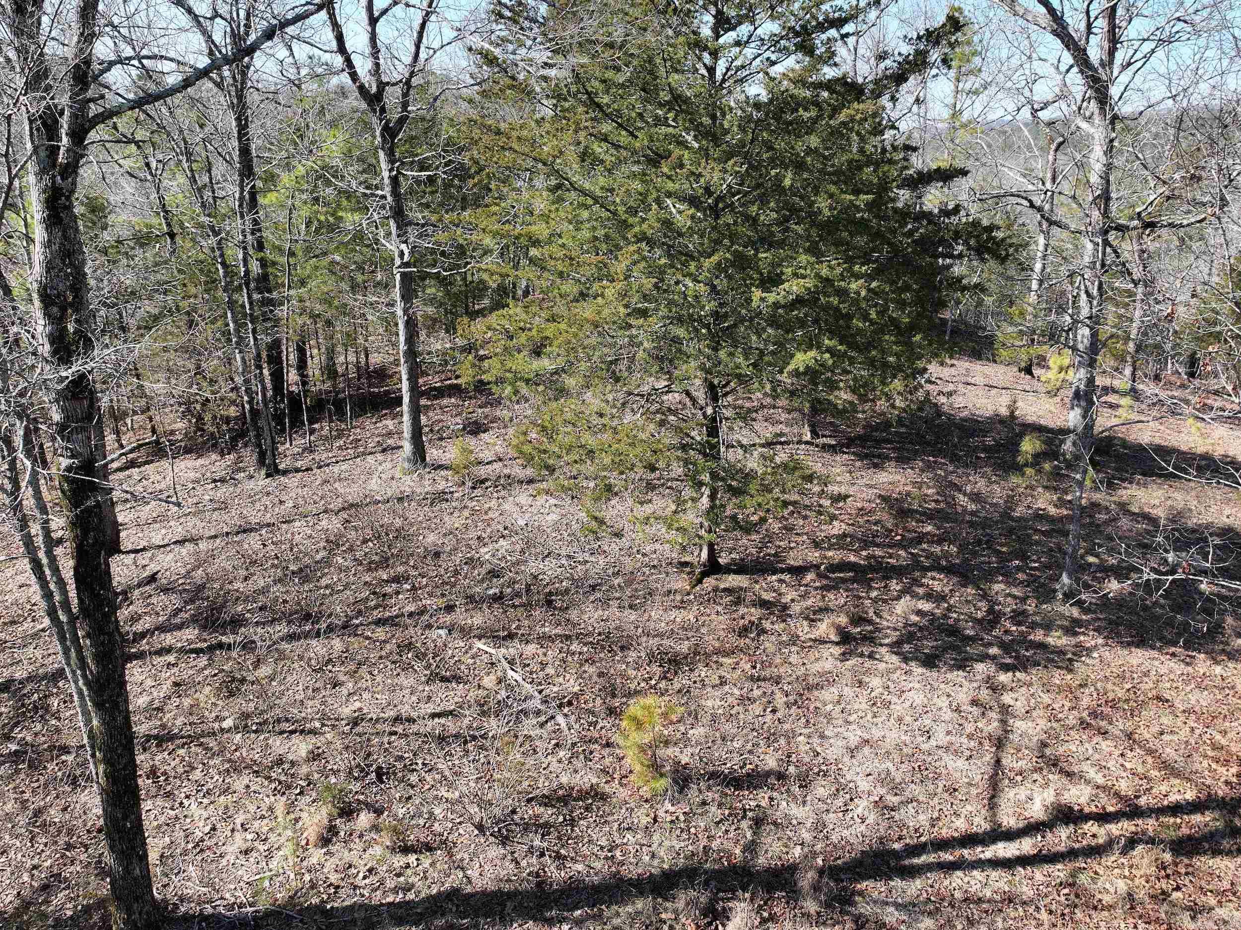 000 CAVANAUGH  Royal, AR