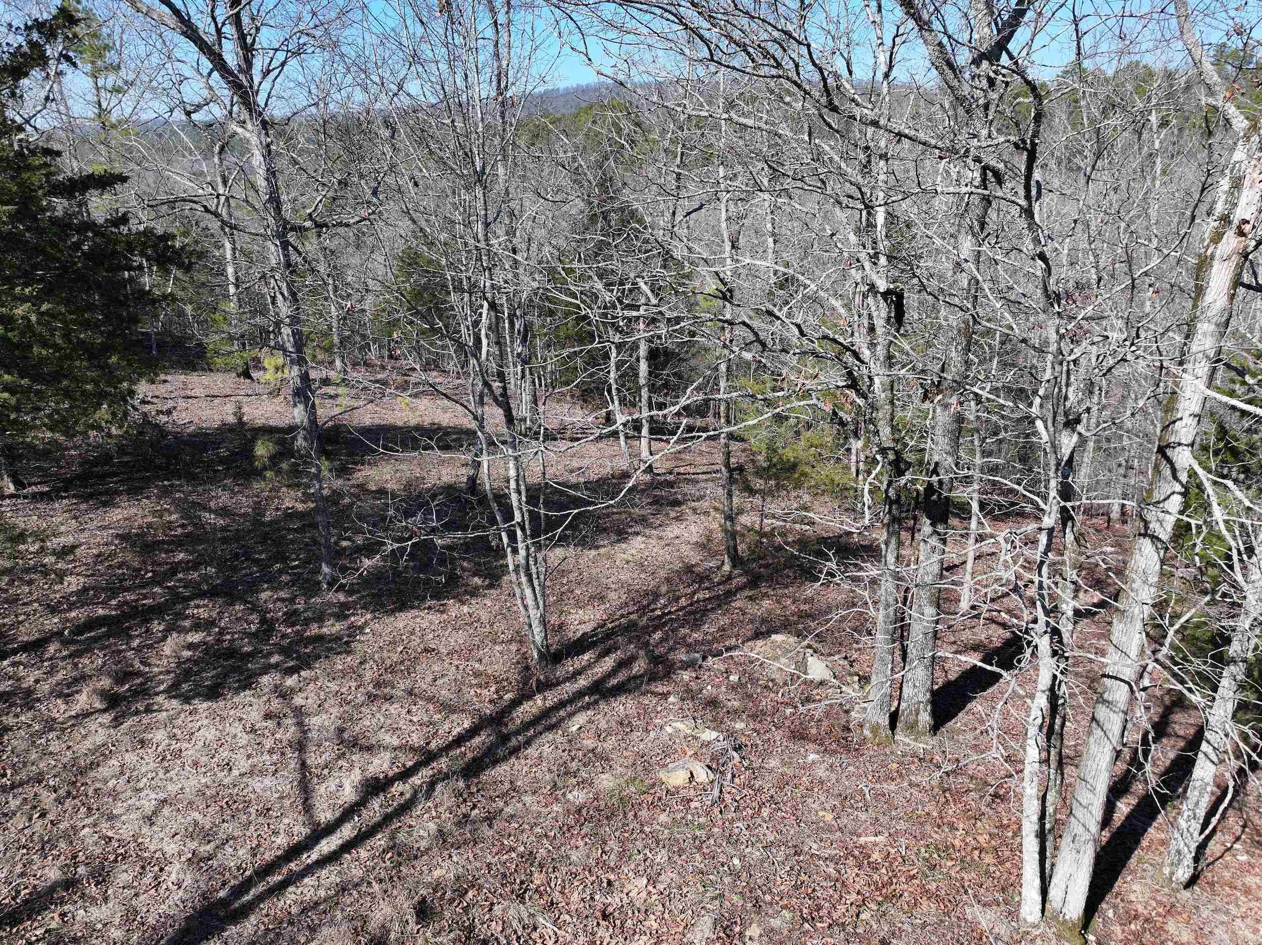 000 CAVANAUGH  Royal, AR