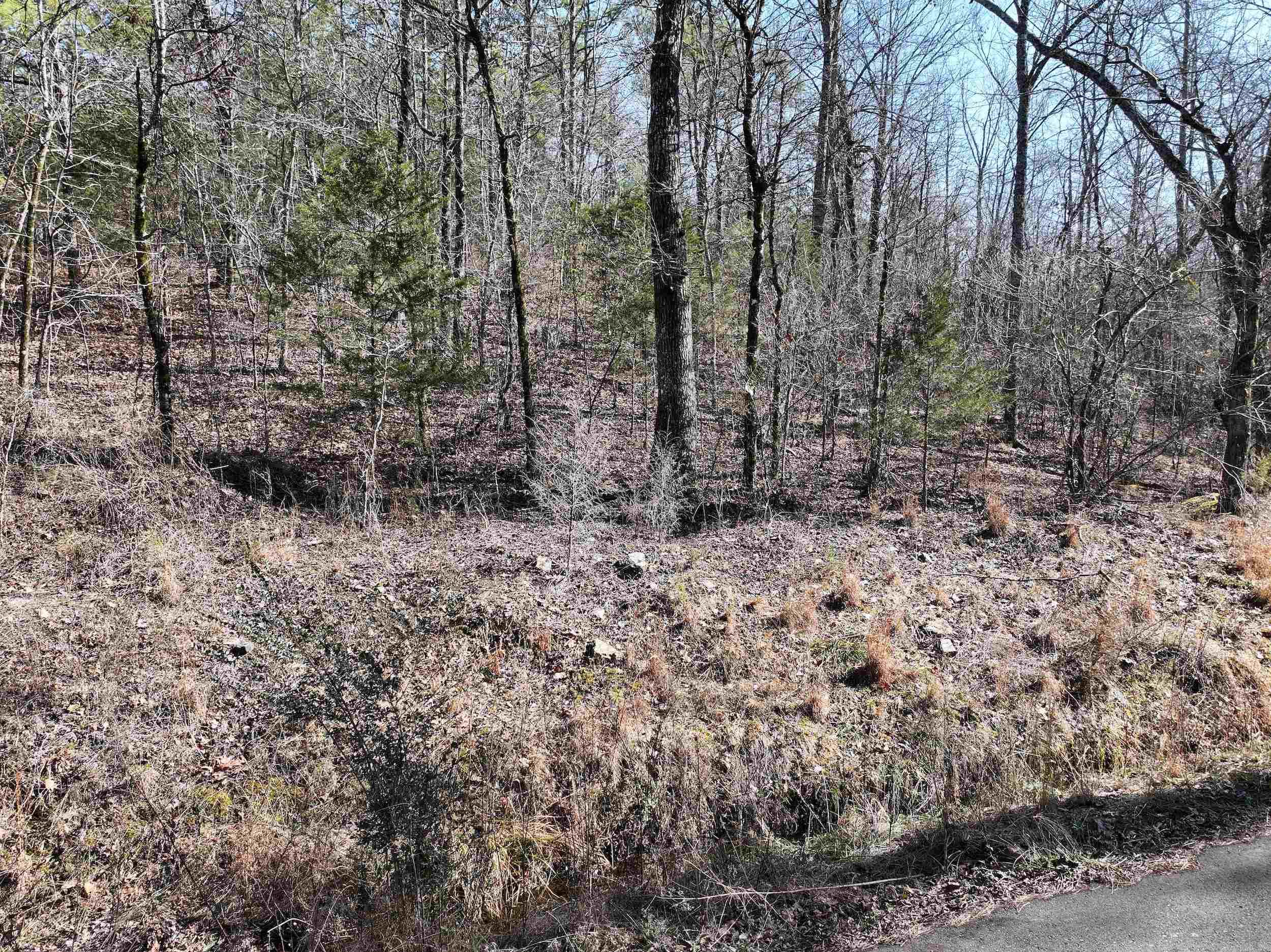 000 CAVANAUGH  Royal, AR