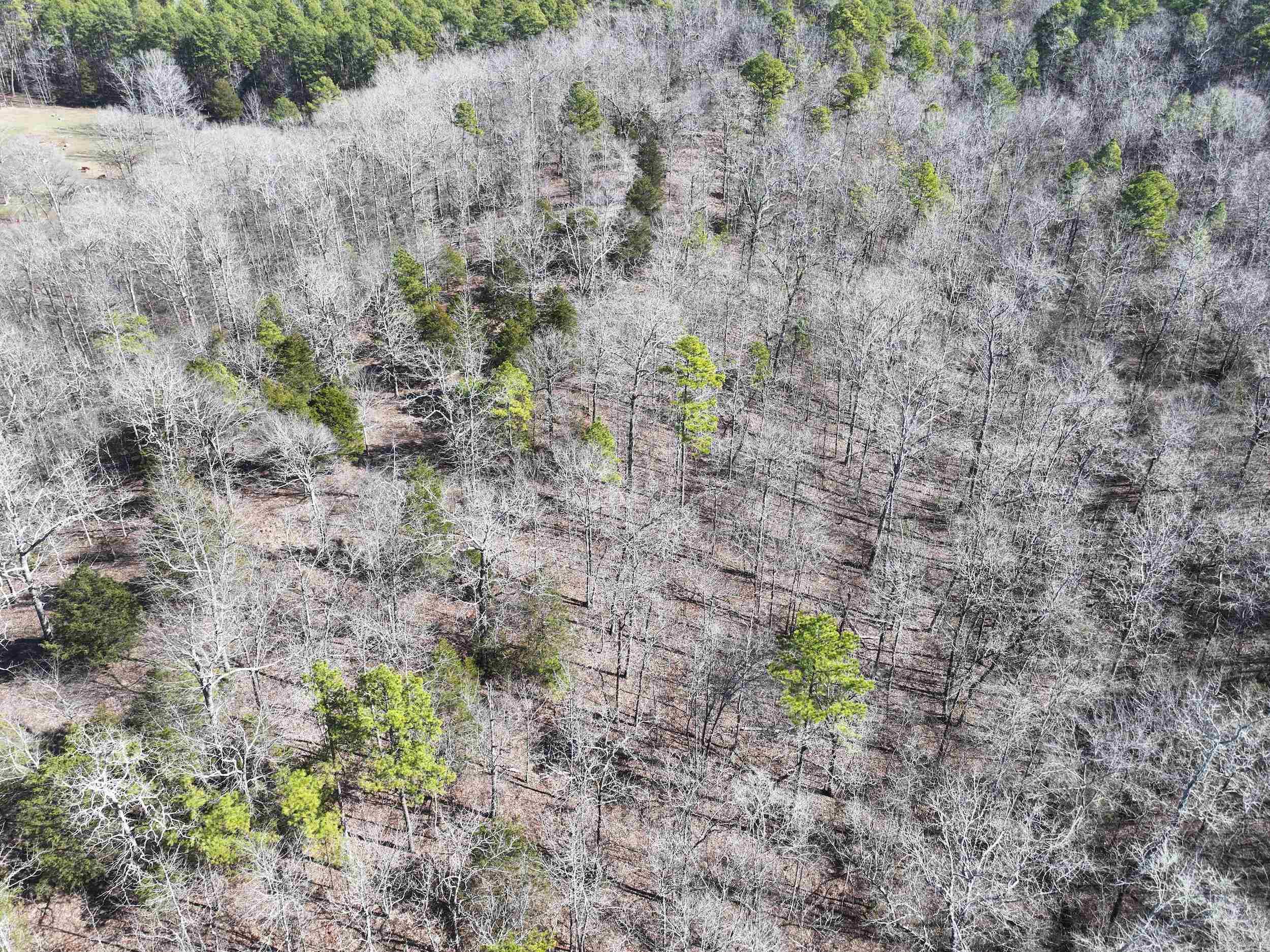 000 CAVANAUGH  Royal, AR