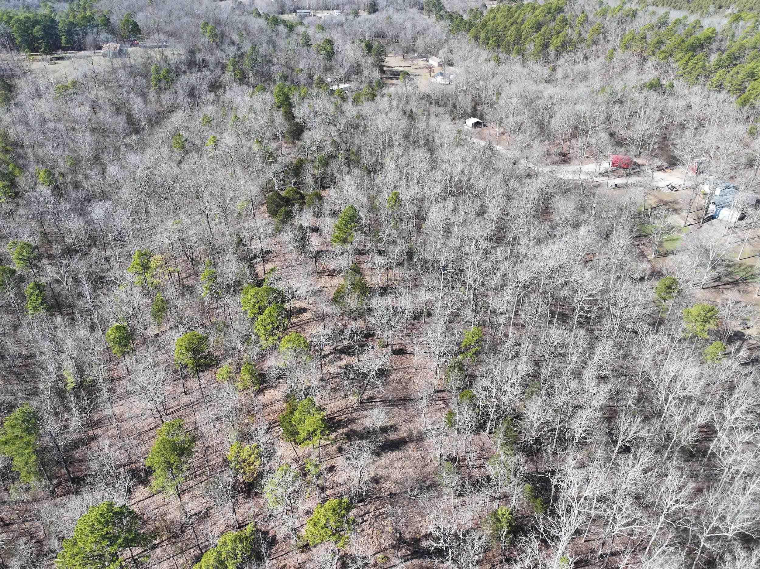 000 CAVANAUGH  Royal, AR