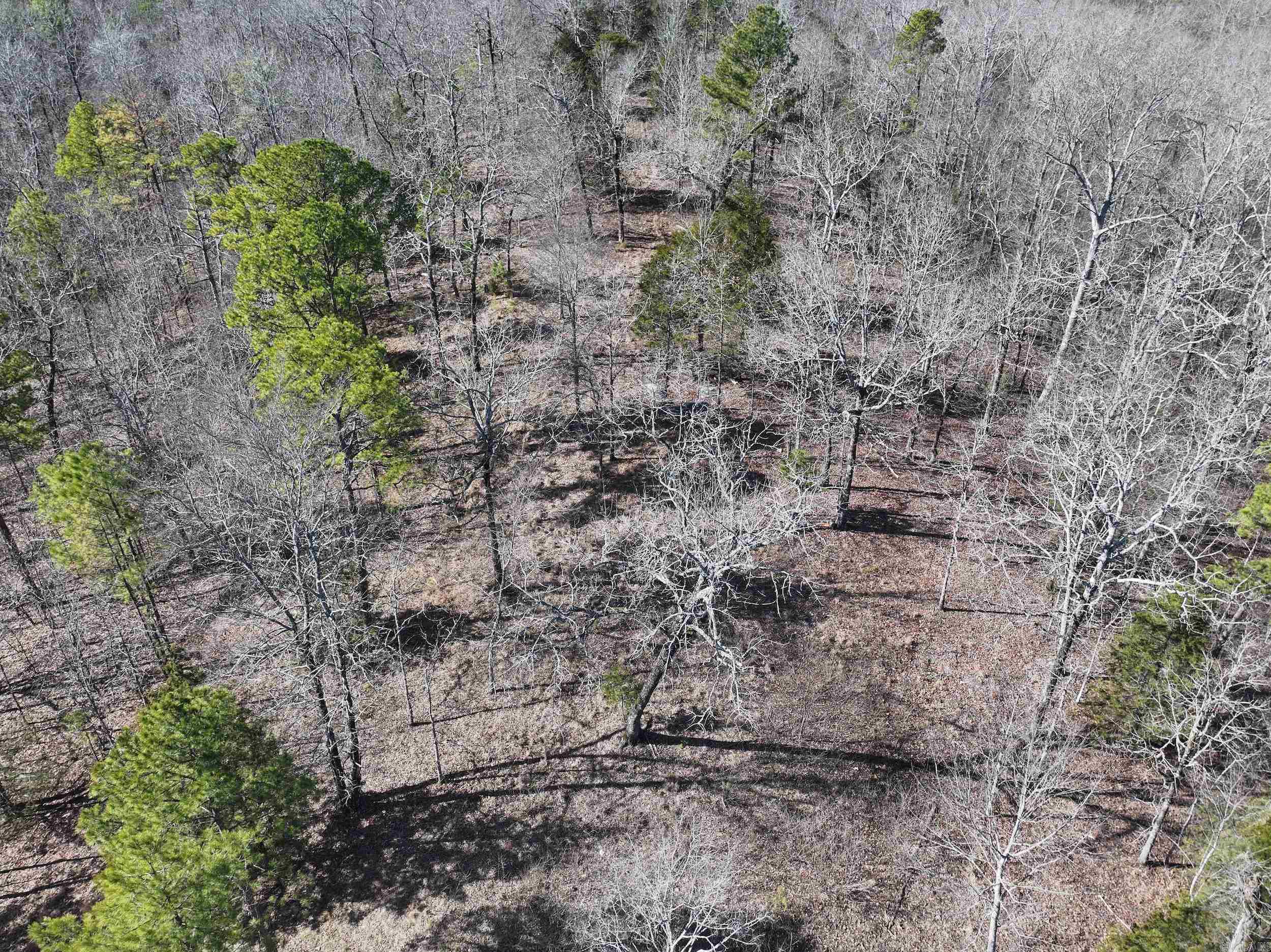 000 CAVANAUGH  Royal, AR