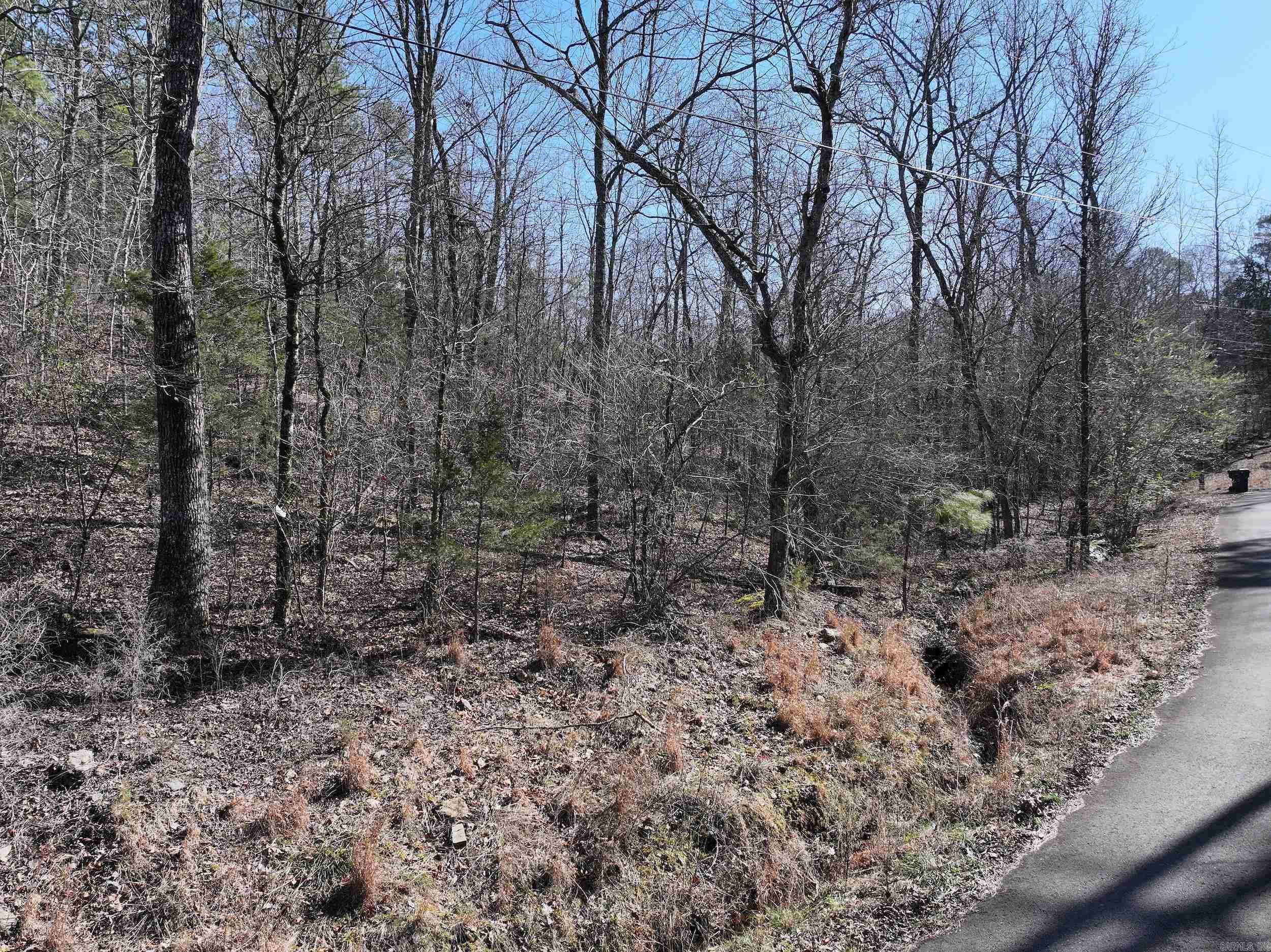 000 CAVANAUGH  Royal, AR