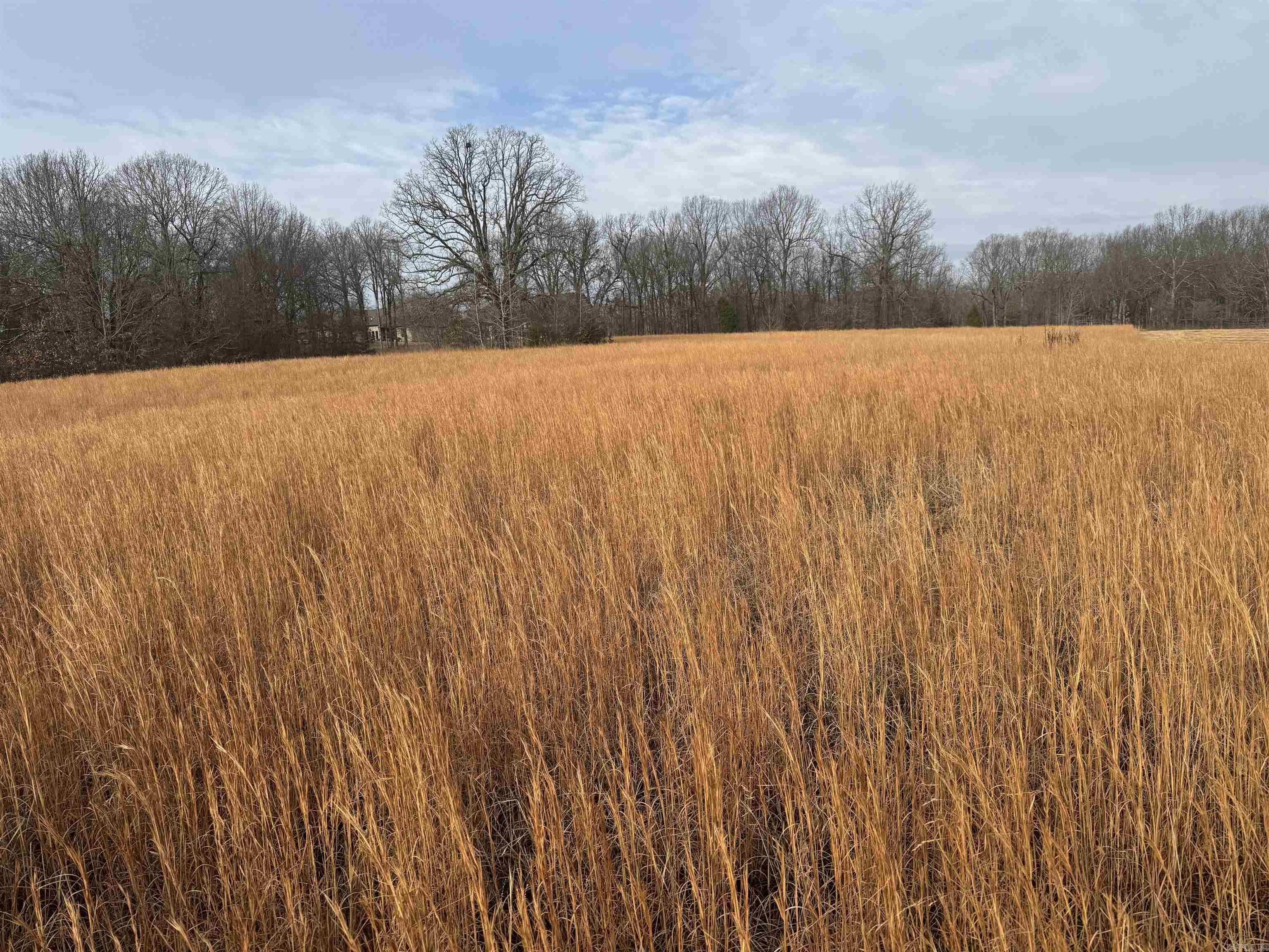 1965 County Road 759  Jonesboro, AR