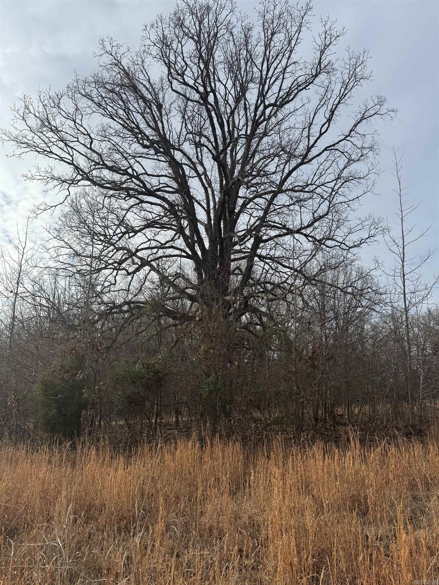 1965 County Road 759  Jonesboro, AR