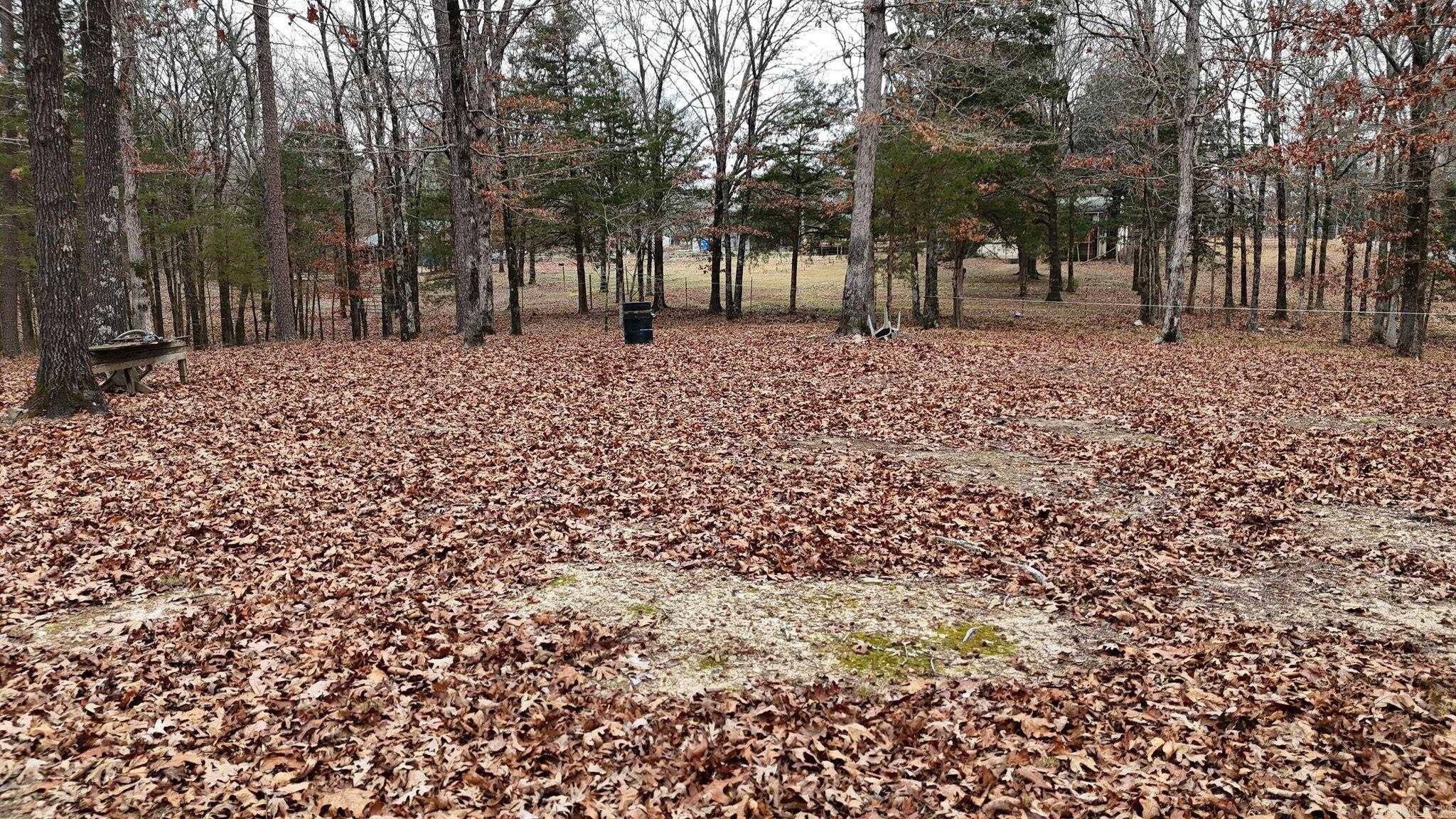 249 Polk Road 48  Mena, AR