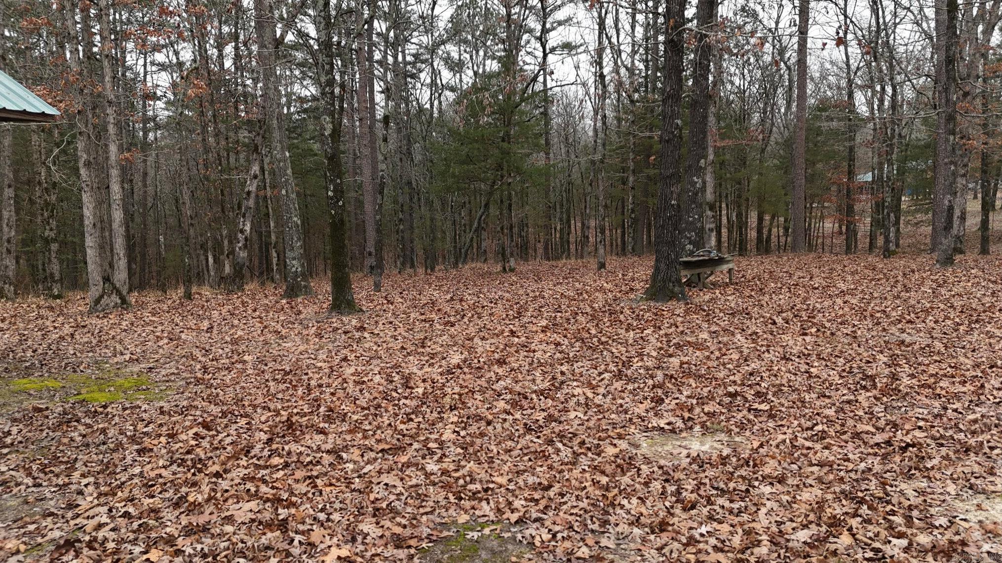 249 Polk Road 48  Mena, AR