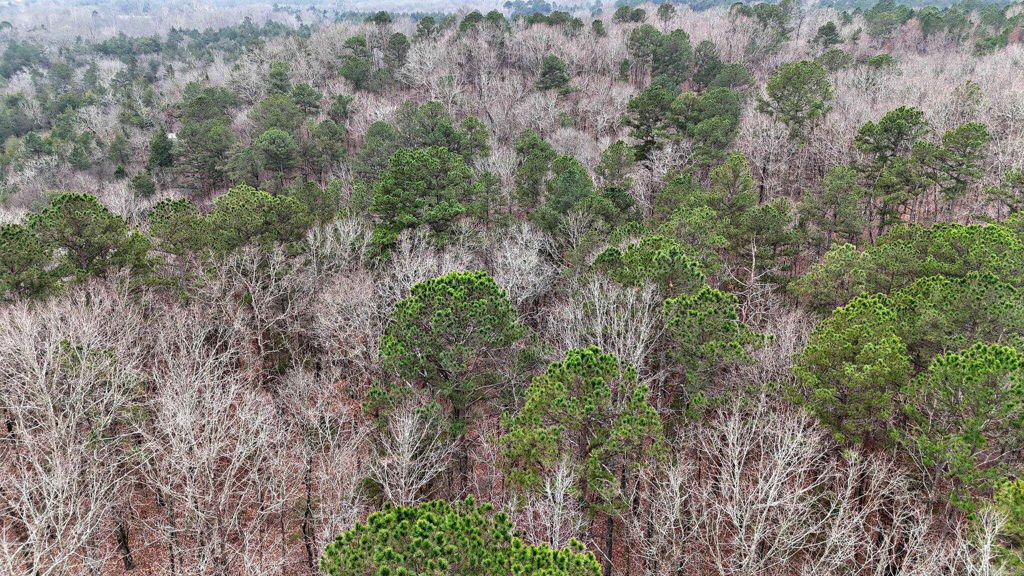 249 Polk Road 48  Mena, AR