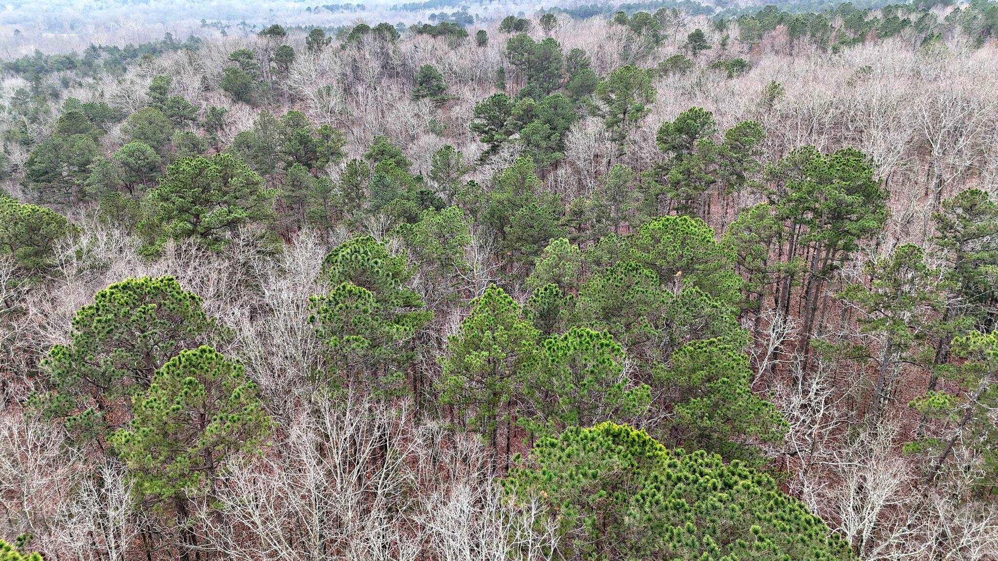 249 Polk Road 48  Mena, AR