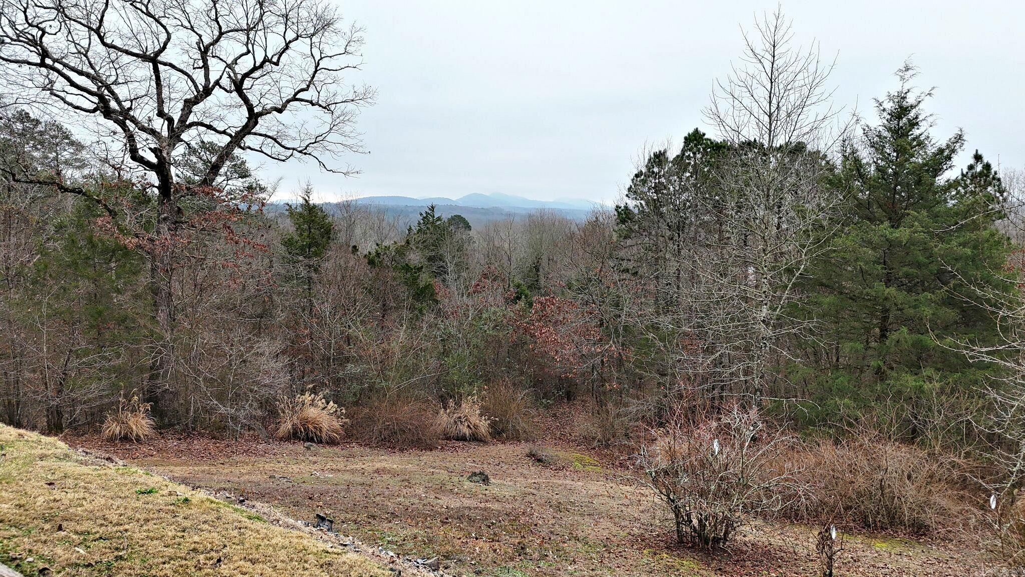 249 Polk Road 48  Mena, AR