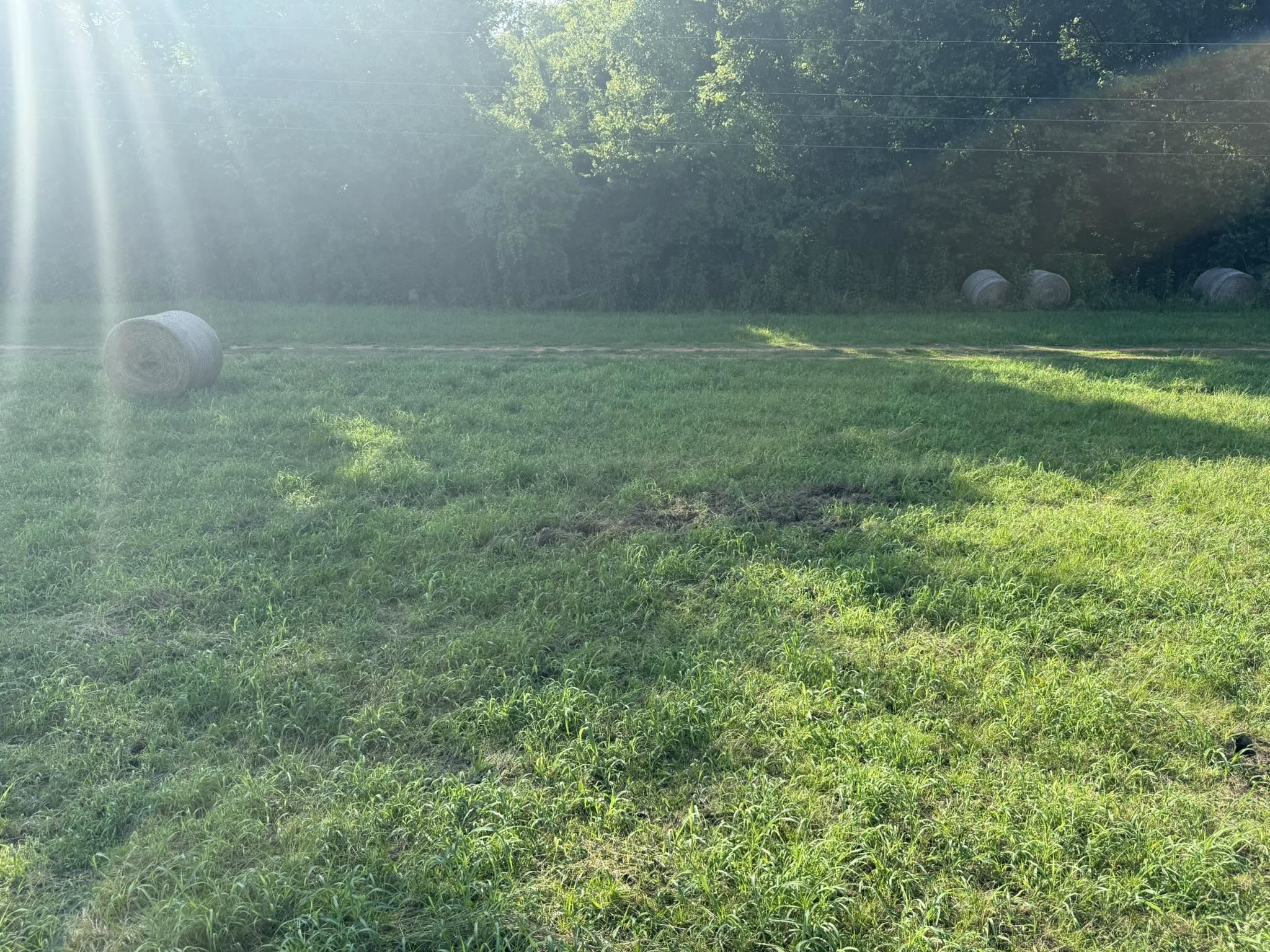 000 Schoolhouse Road  Melbourne, AR