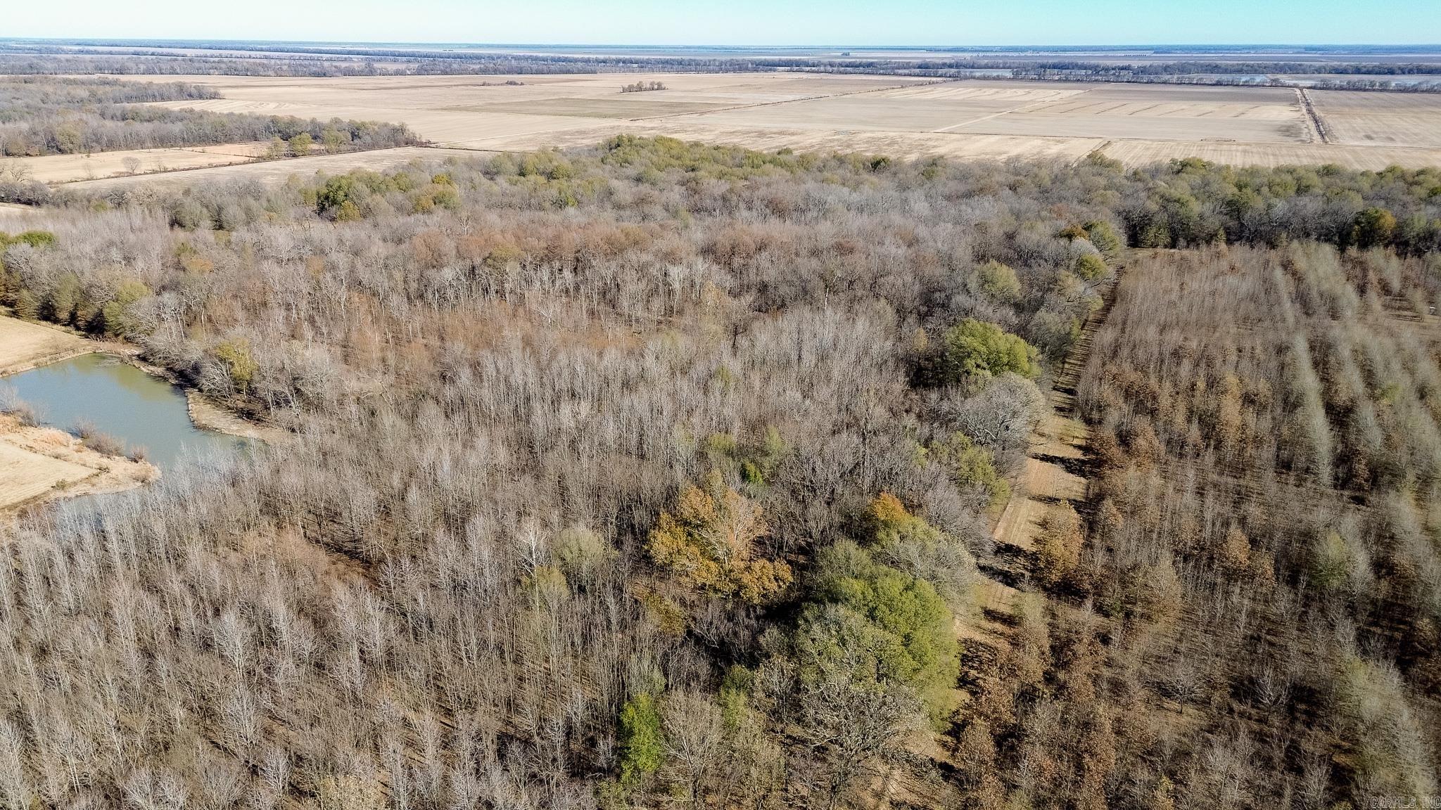 0000 HWY 163  Cherry Valley, AR