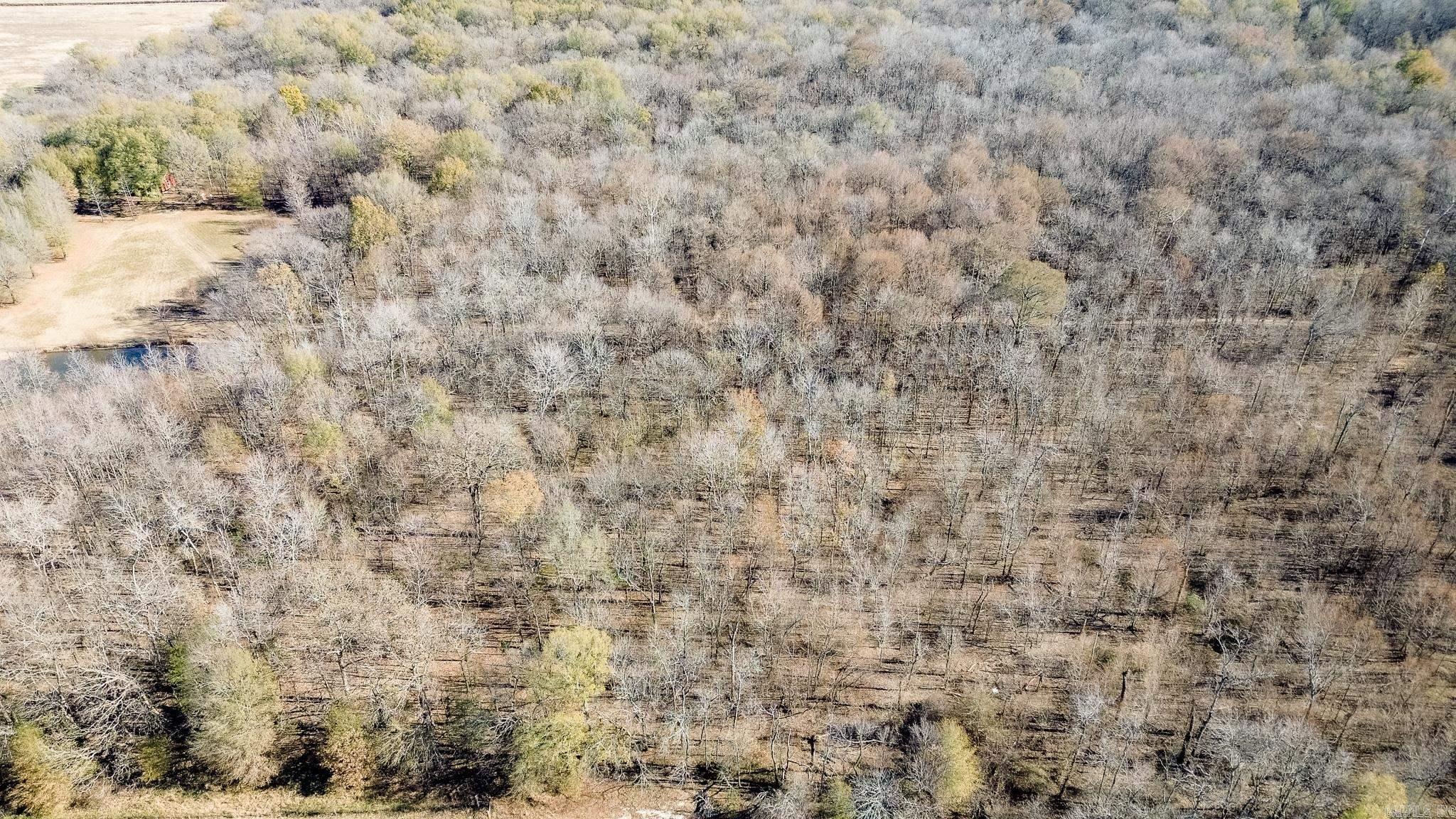 0000 HWY 163  Cherry Valley, AR