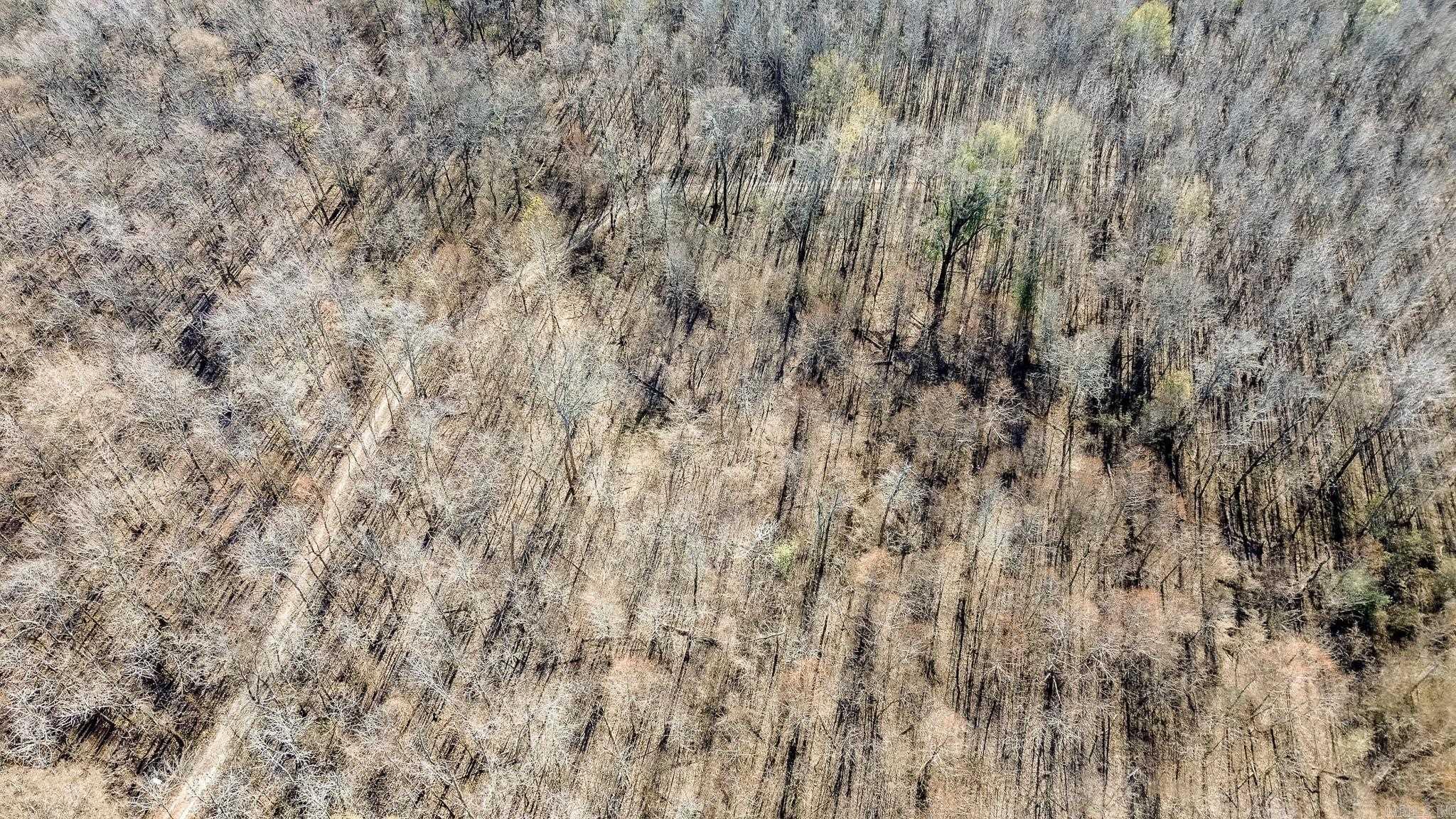 0000 HWY 163  Cherry Valley, AR