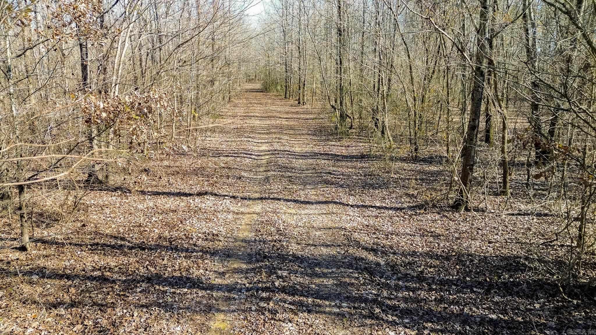 0000 HWY 163  Cherry Valley, AR