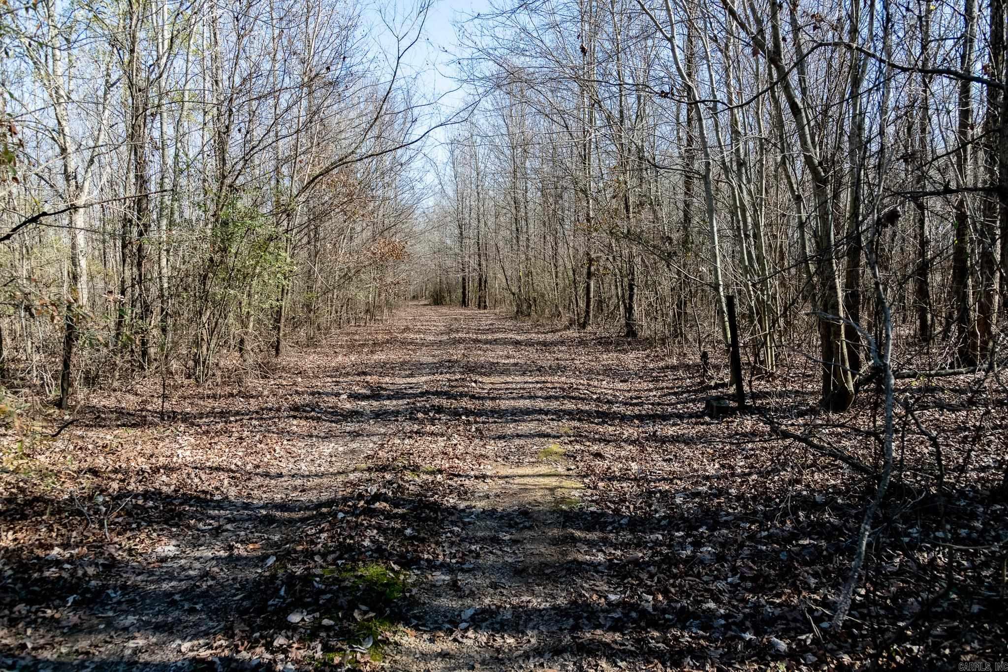 0000 HWY 163  Cherry Valley, AR