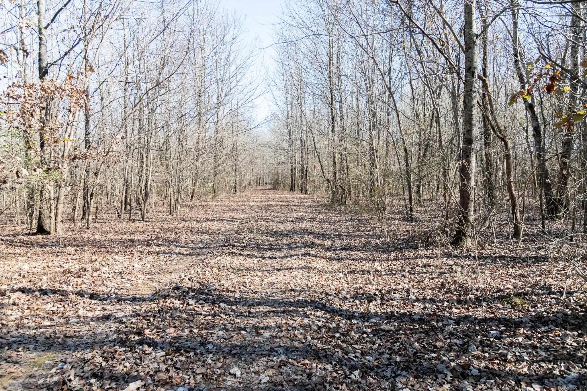 0000 HWY 163  Cherry Valley, AR