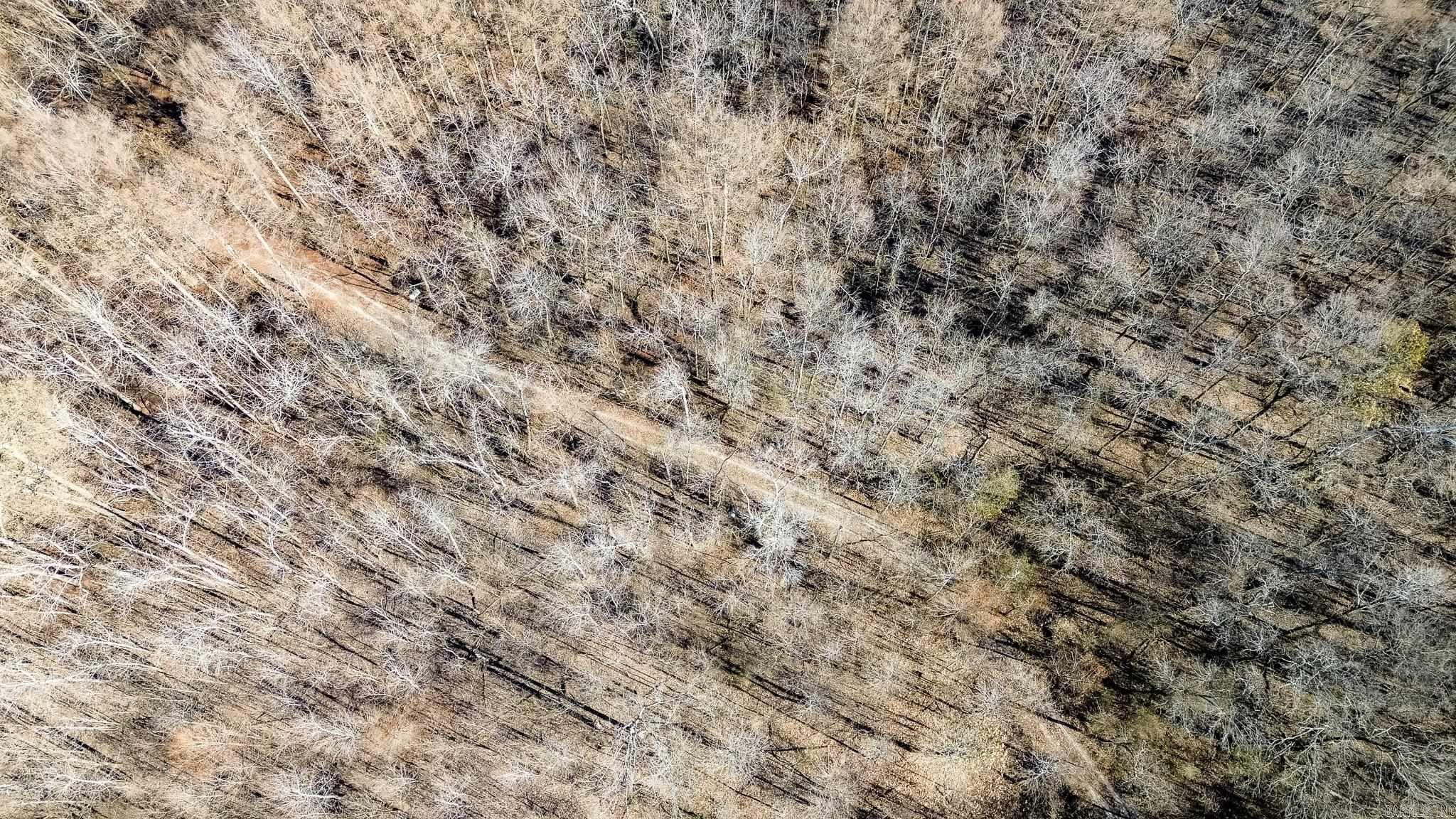 0000 HWY 163  Cherry Valley, AR