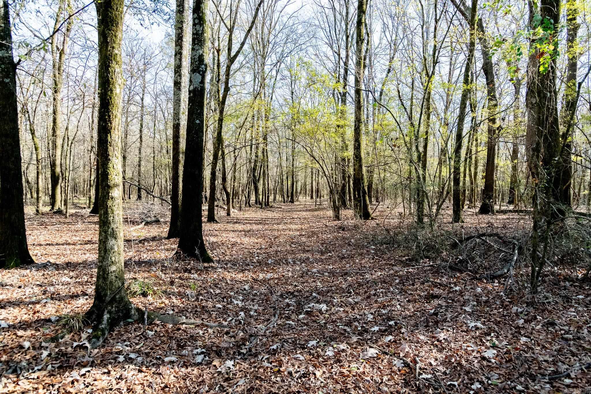 0000 HWY 163  Cherry Valley, AR