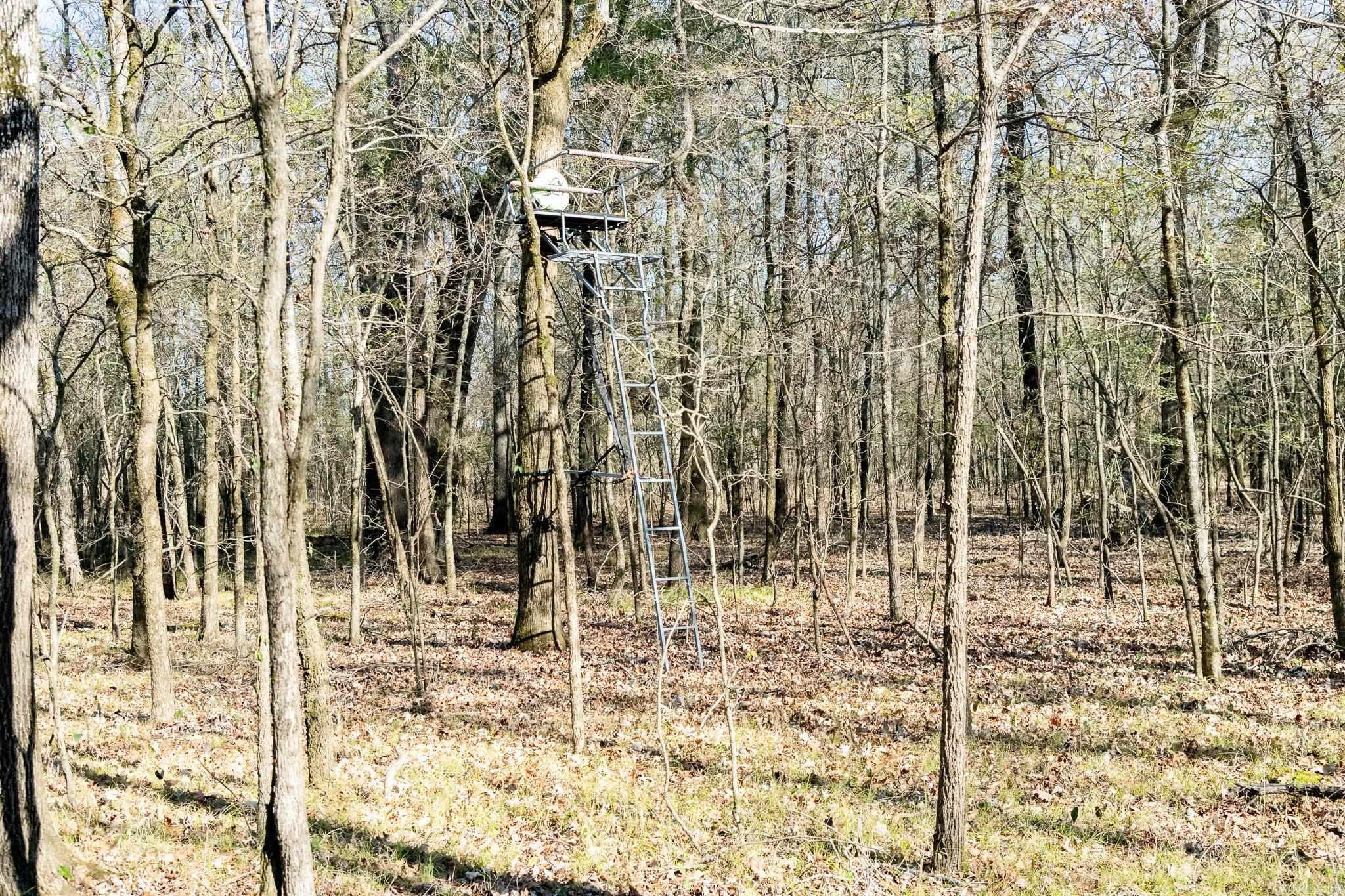 0000 HWY 163  Cherry Valley, AR