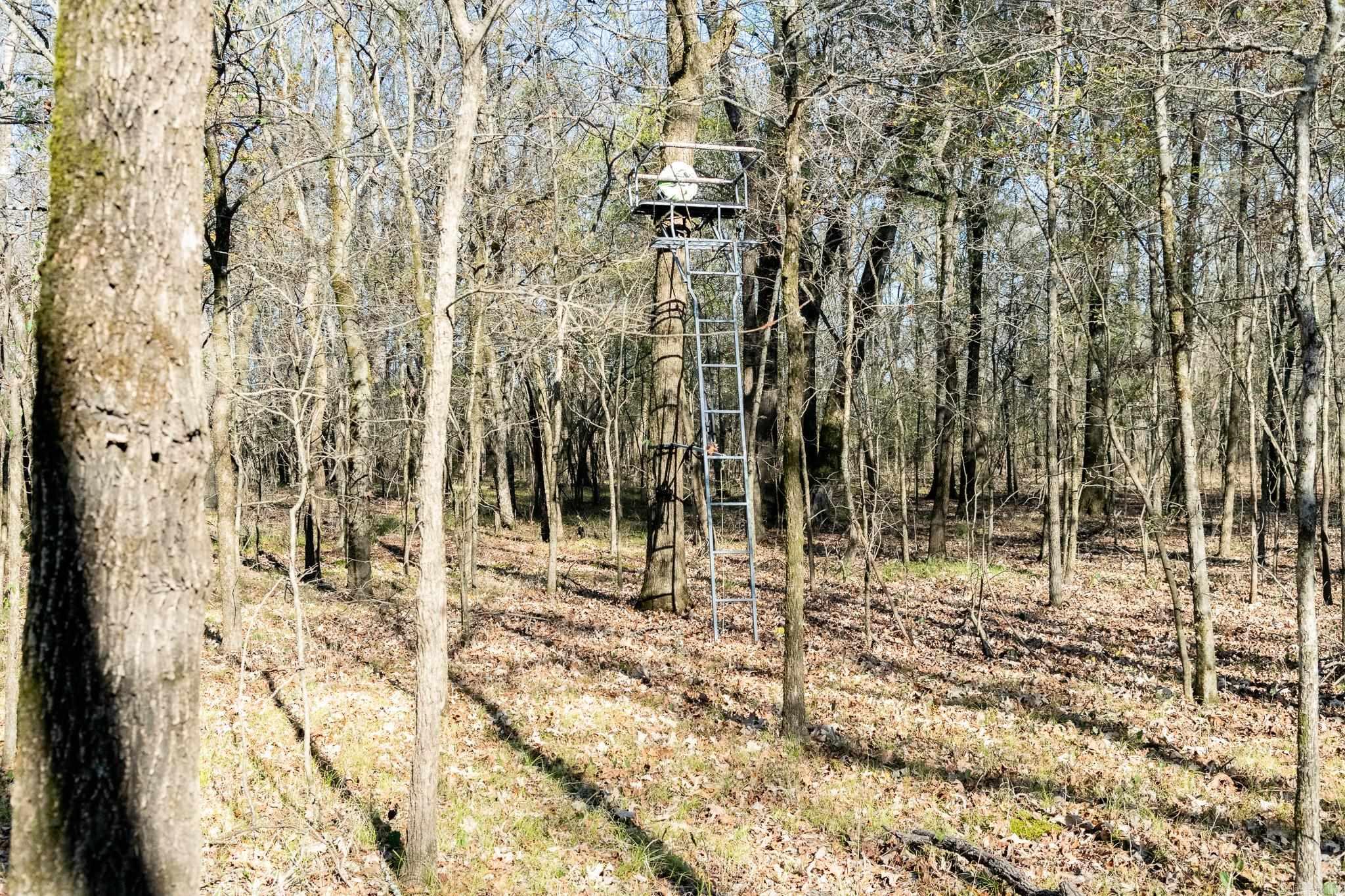 0000 HWY 163  Cherry Valley, AR