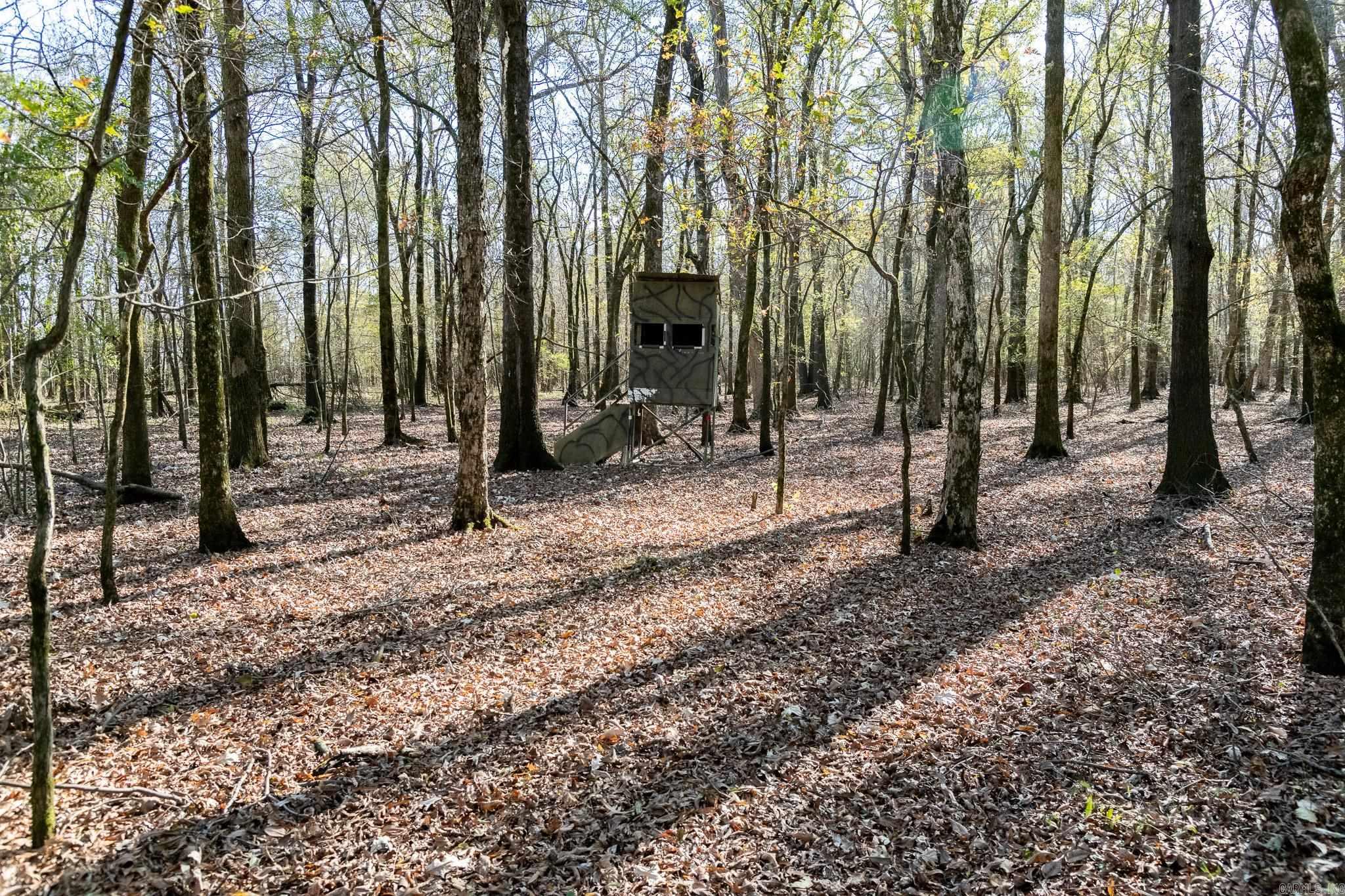 0000 HWY 163  Cherry Valley, AR