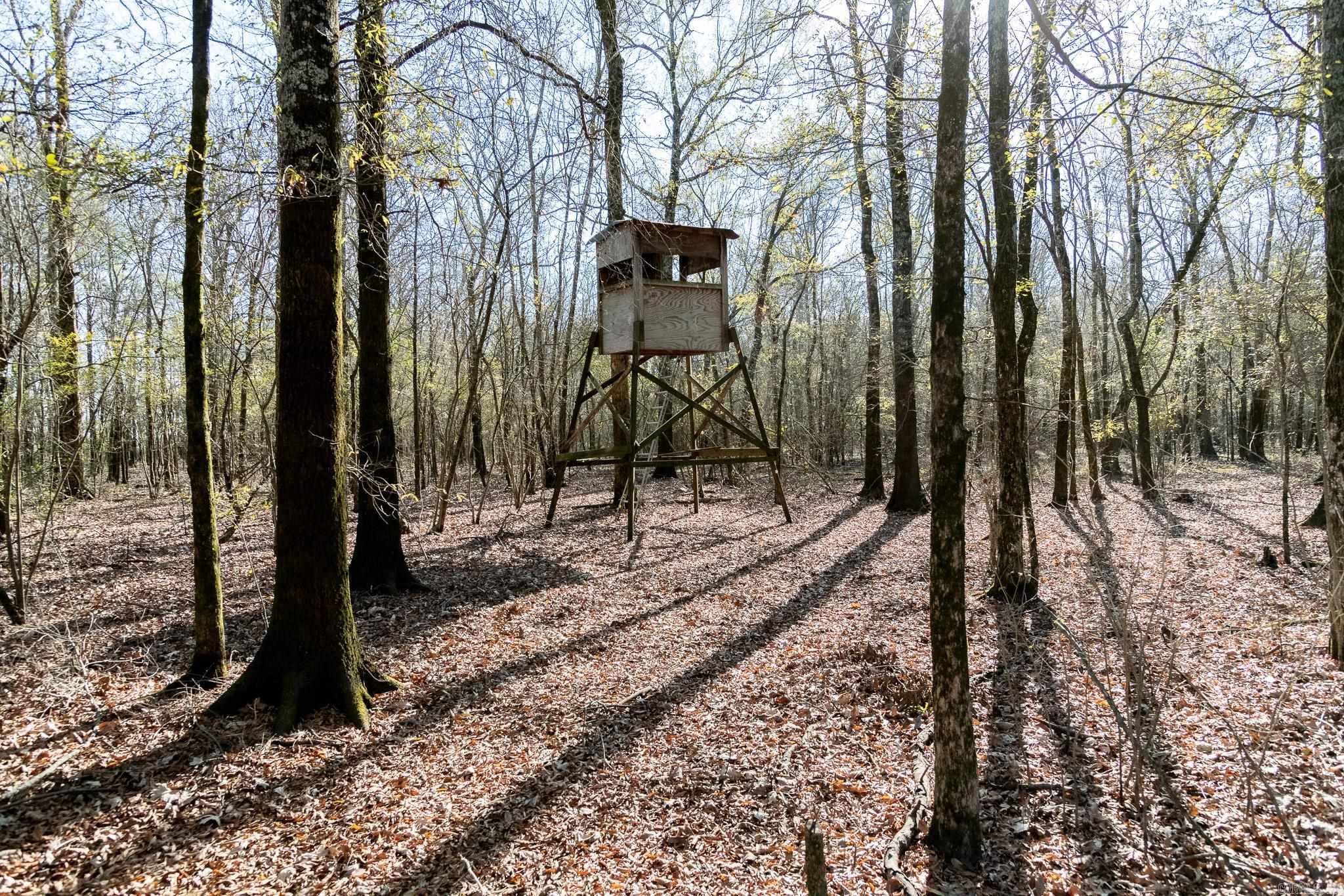 0000 HWY 163  Cherry Valley, AR