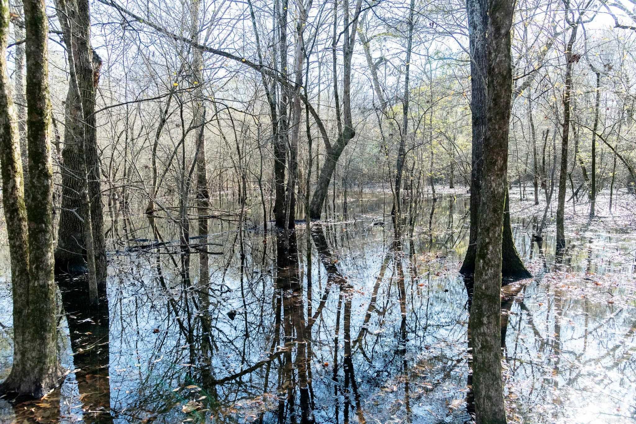 0000 HWY 163  Cherry Valley, AR