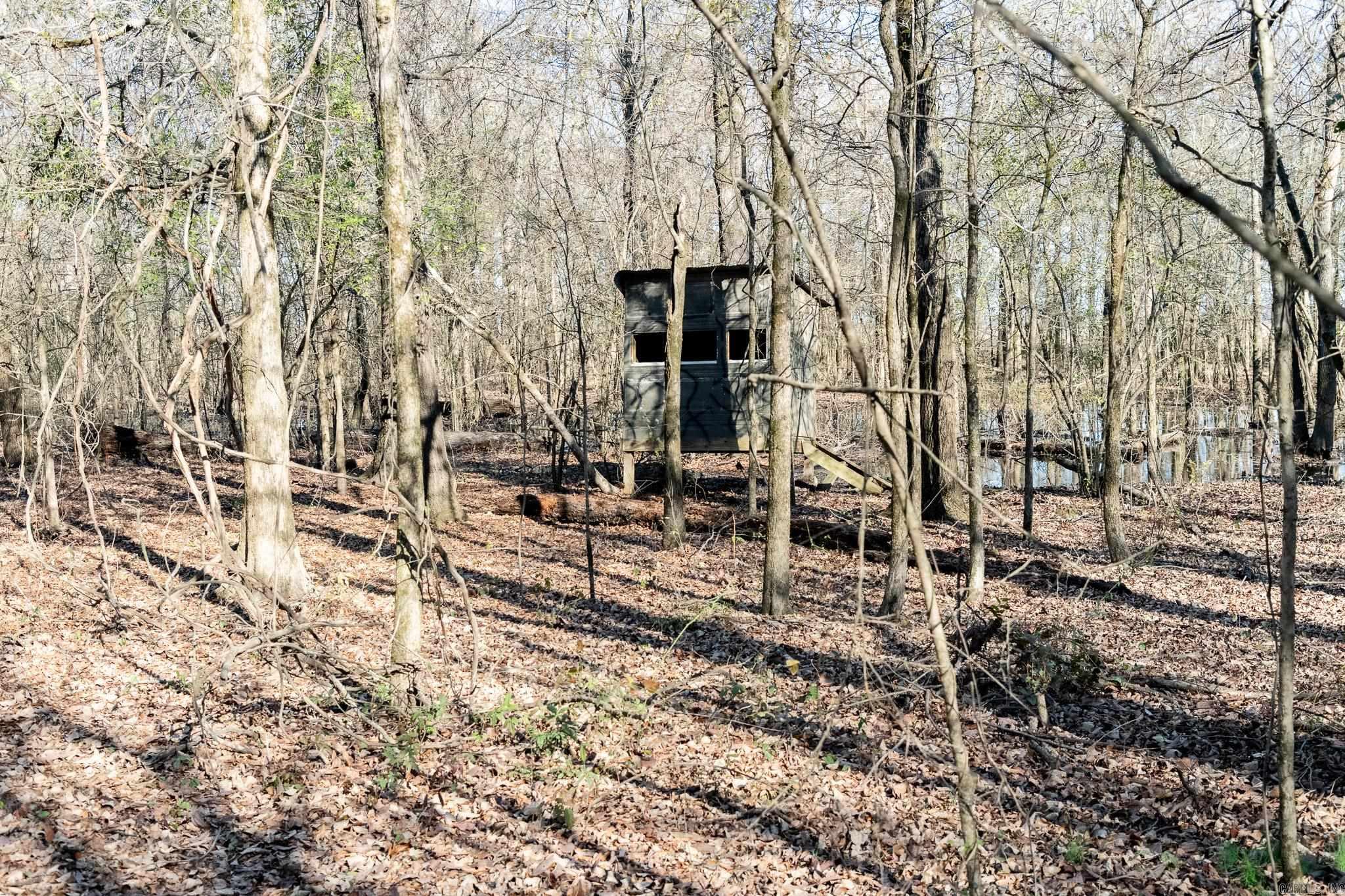 0000 HWY 163  Cherry Valley, AR