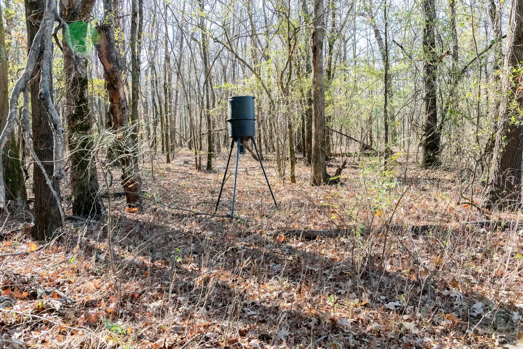 0000 HWY 163  Cherry Valley, AR