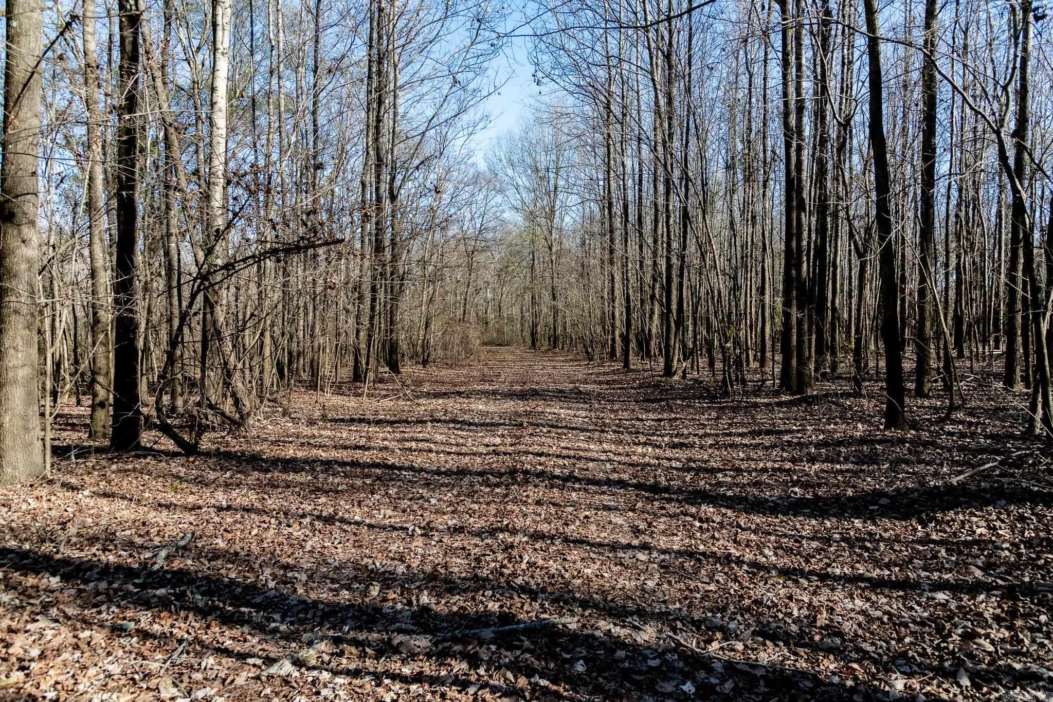 0000 HWY 163  Cherry Valley, AR