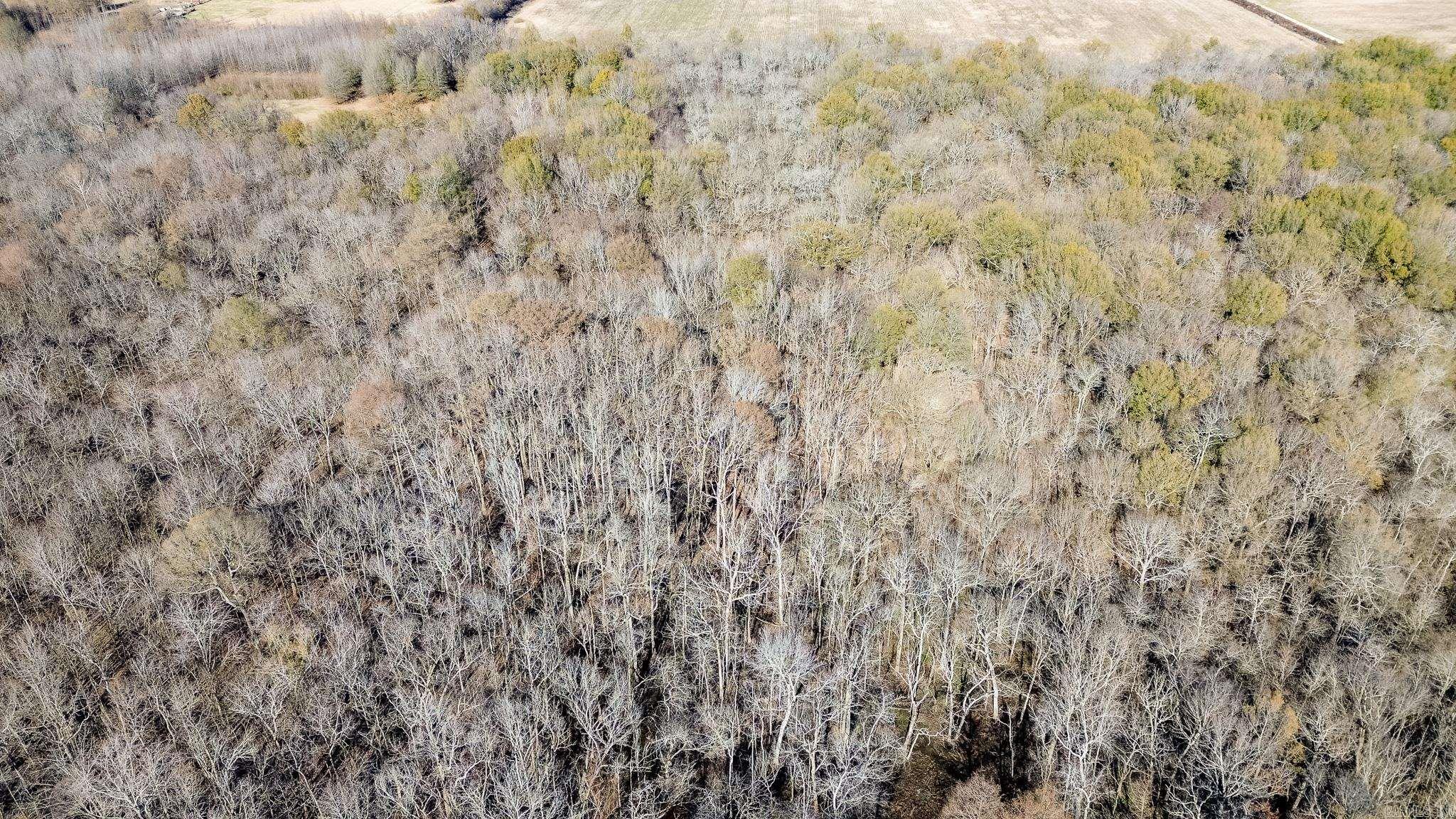 0000 HWY 163  Cherry Valley, AR