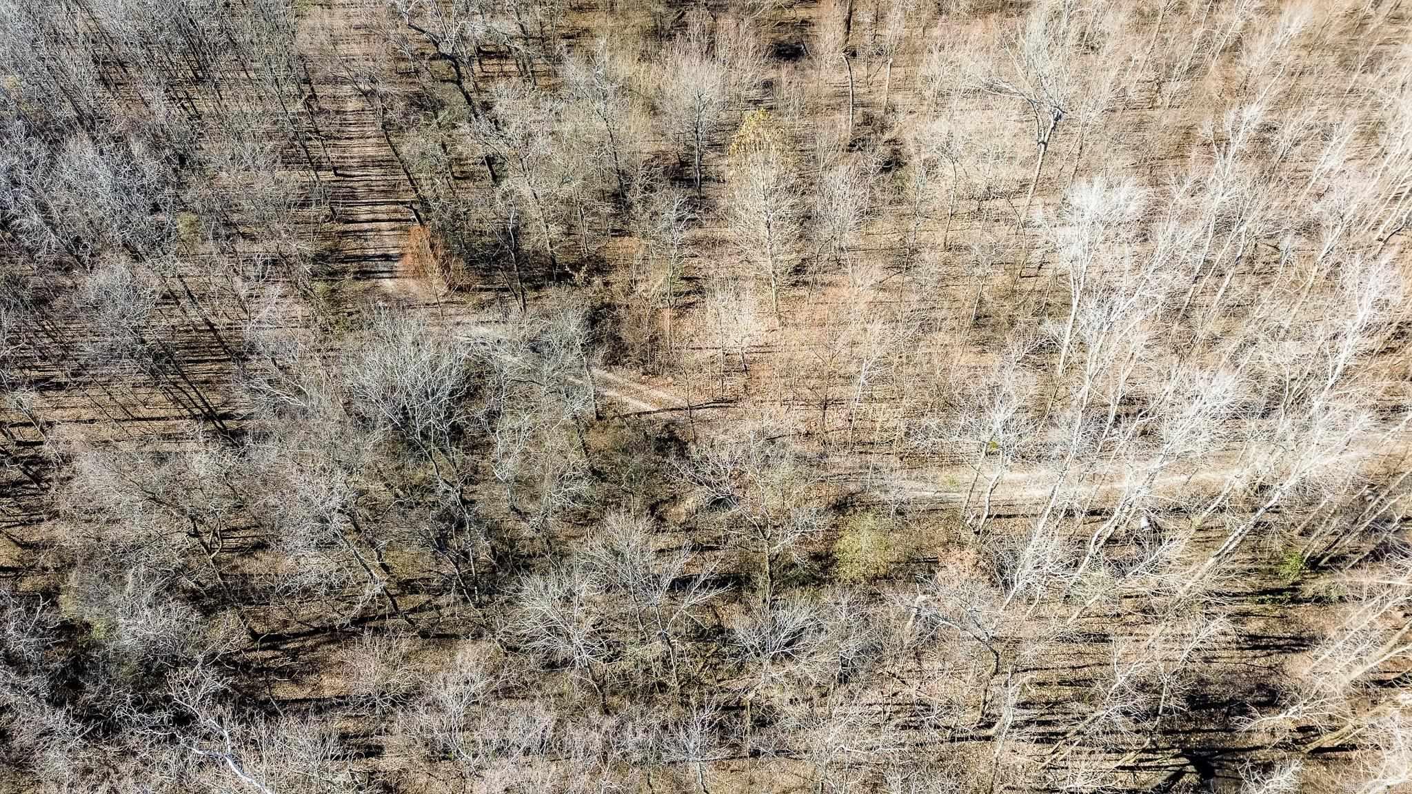 0000 HWY 163  Cherry Valley, AR