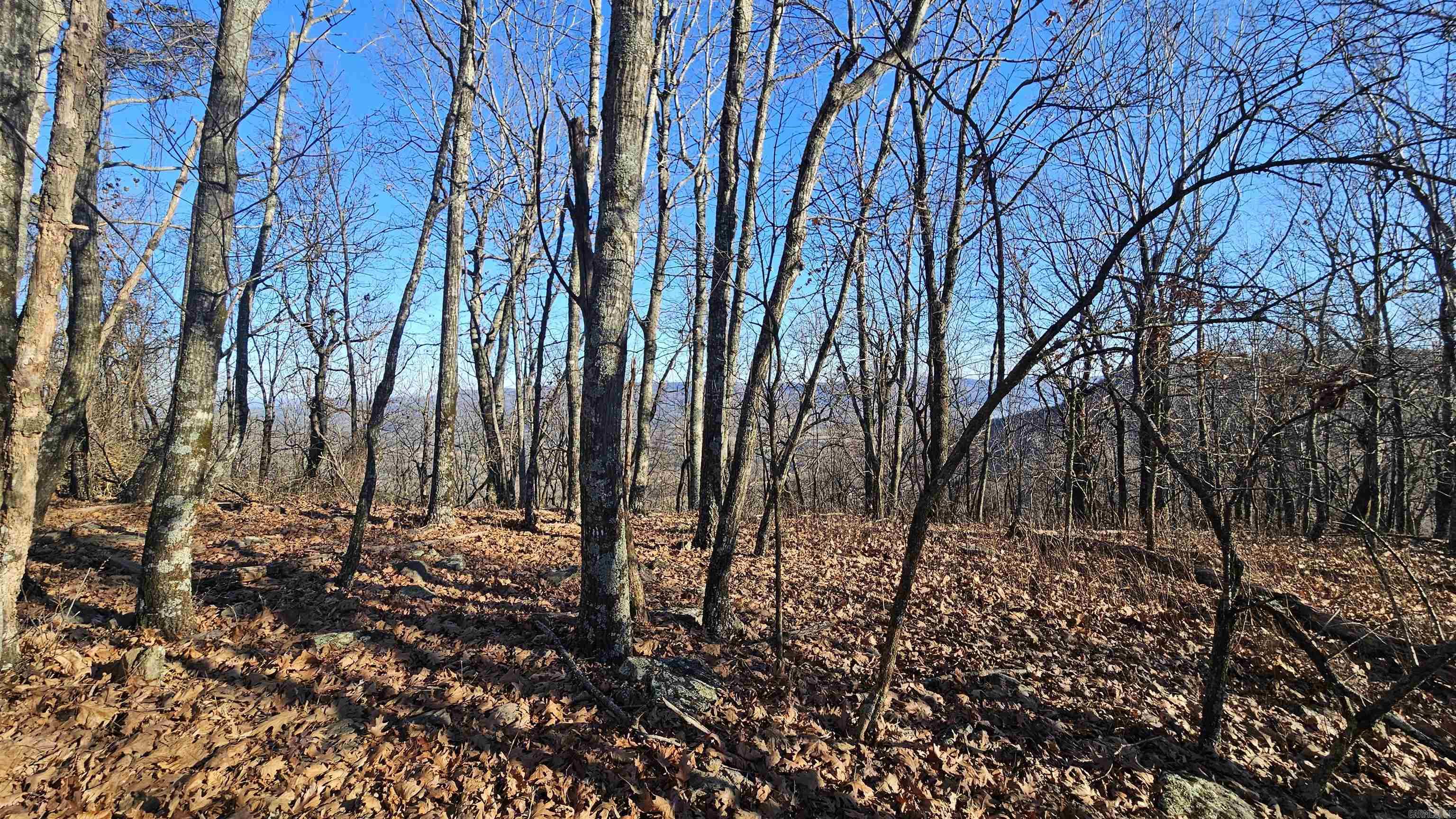 TBD AR 74  Mount Judea, AR