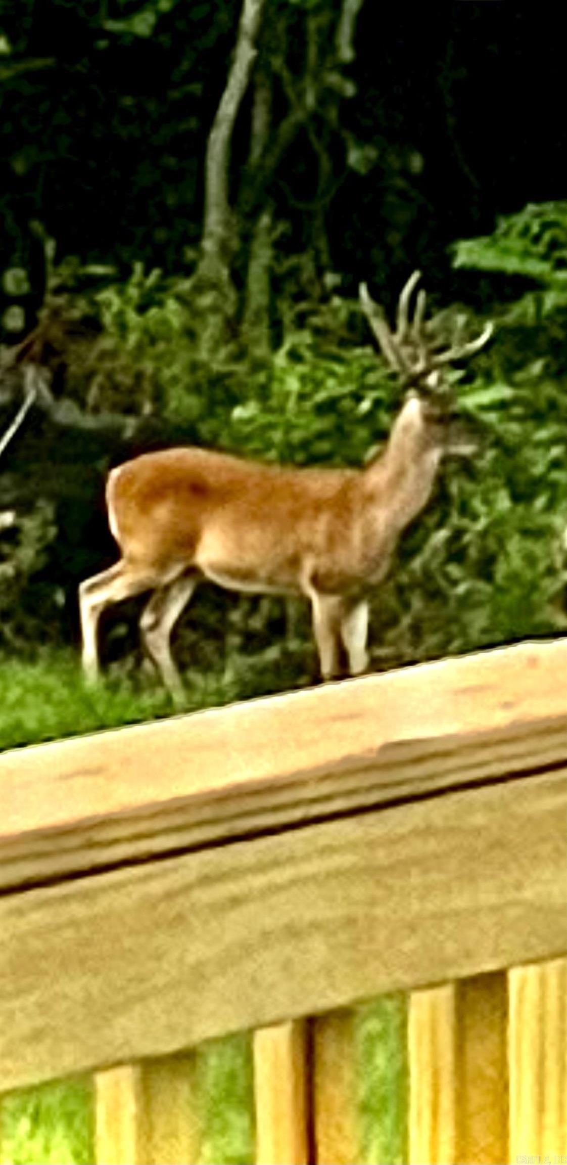 625 Bens  Clinton, AR