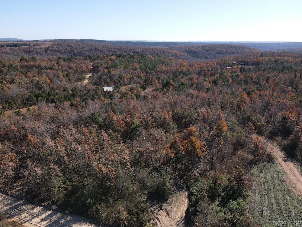 #2 Hide and Seek Lane  Leslie, AR