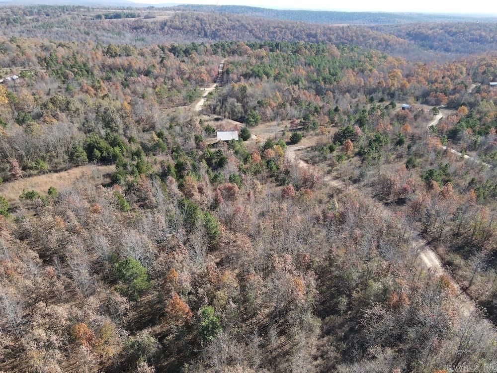 #2 Hide and Seek Lane  Leslie, AR